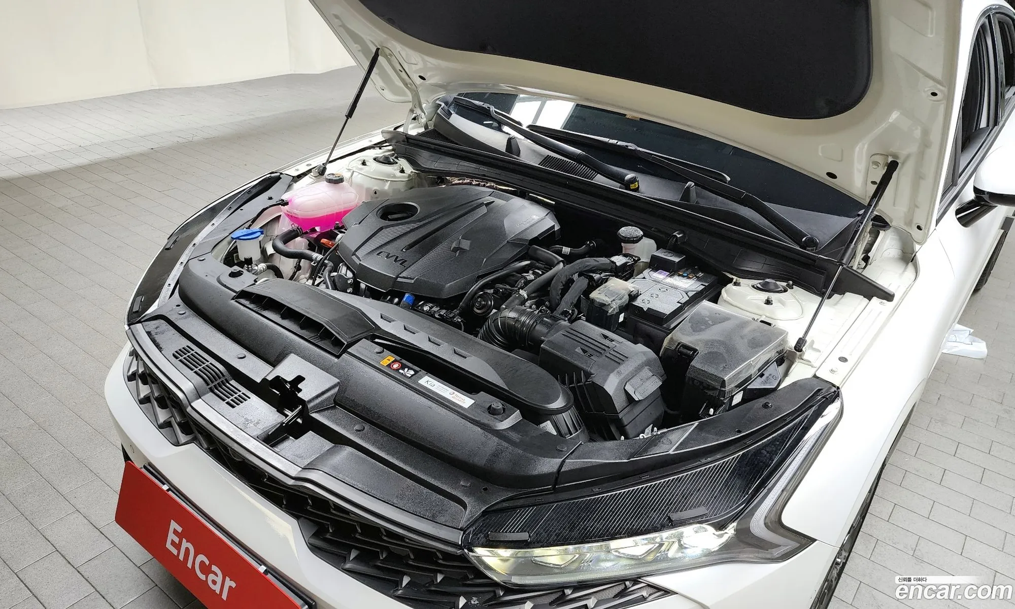 Korex Auto Trade - фотография 11176341