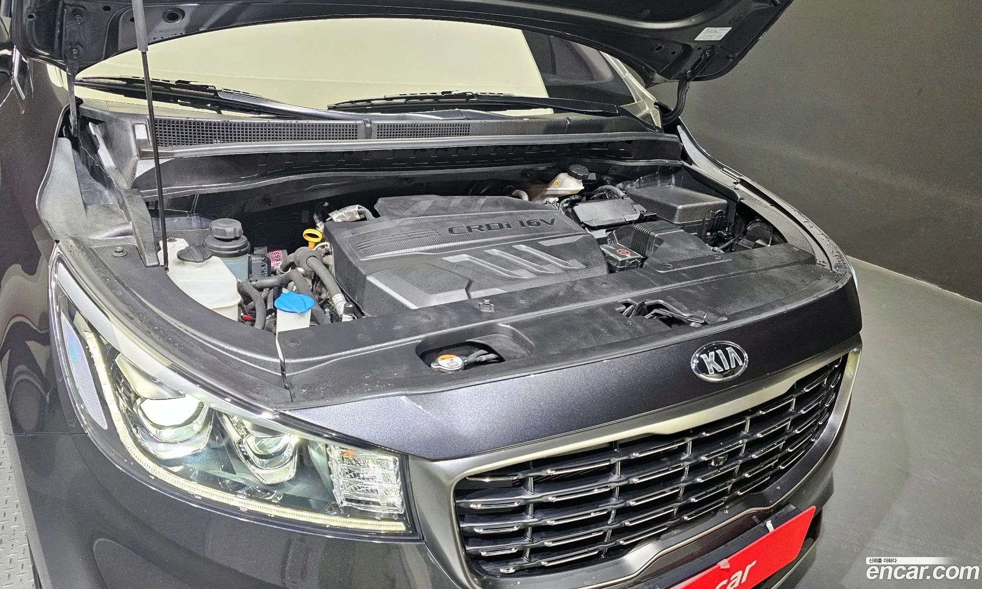 Kia Carnival Iii 9-Seater Noblesse Special 2019 - фотография 11770136