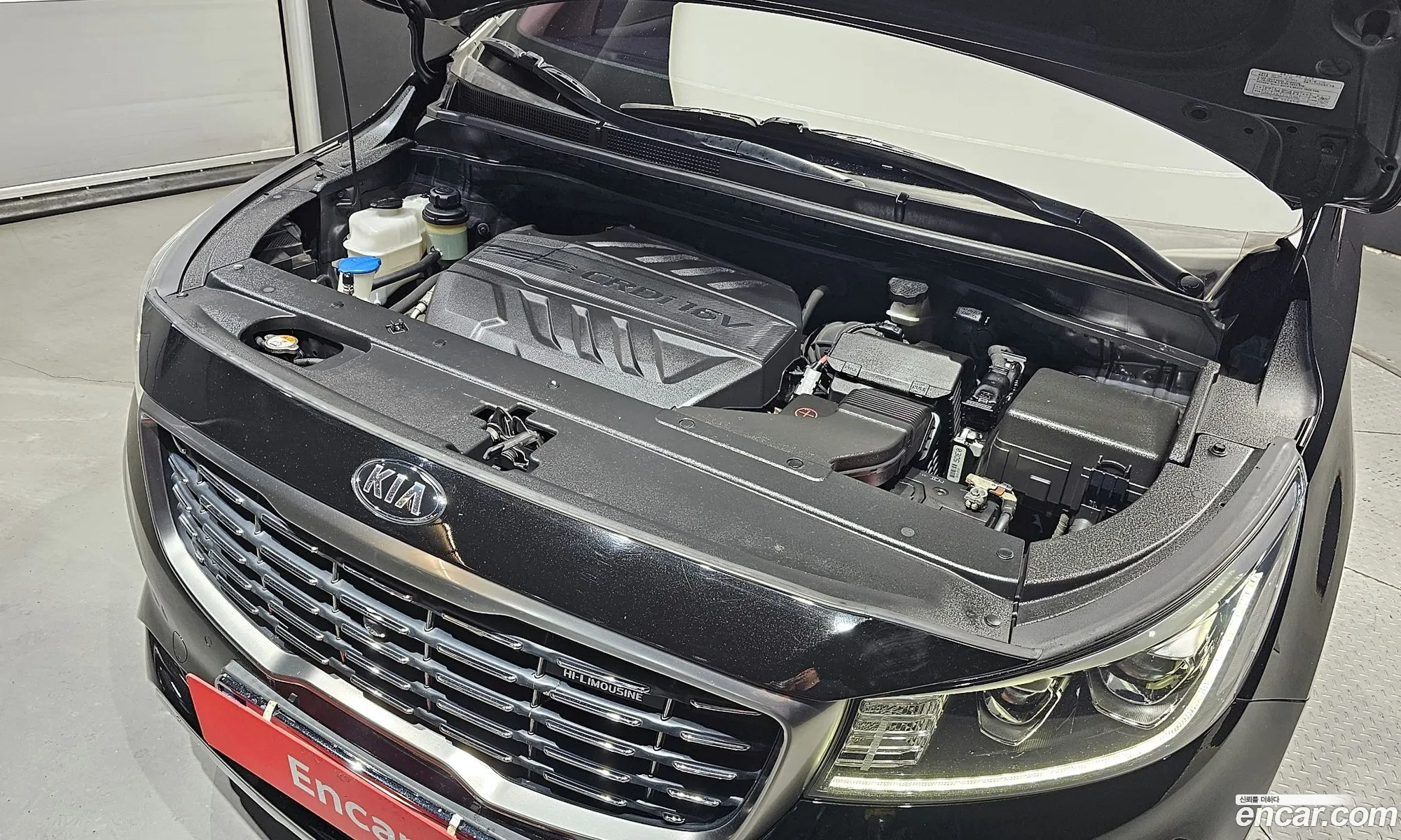 Kia Carnival Iii 7-Seater High Limousine 2019 - фотография 11878839