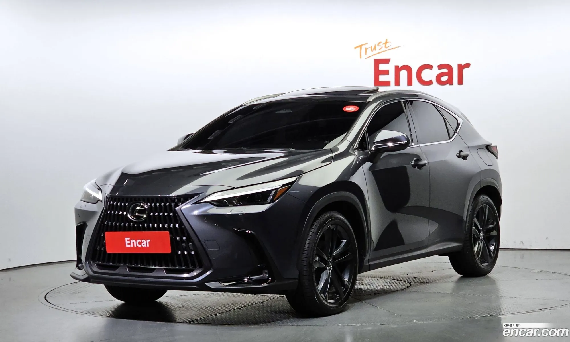 Lexus Nx Premium 2024 - фотография 3744579