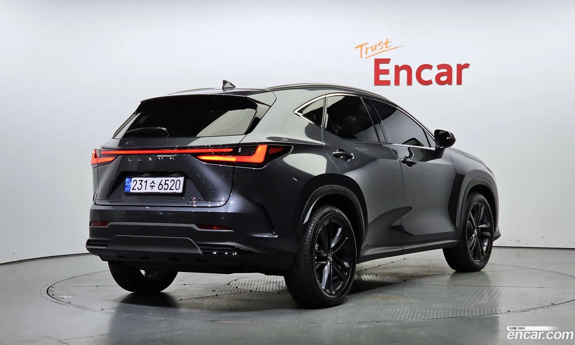 Lexus Nx Premium 2024 - фотография 3744580
