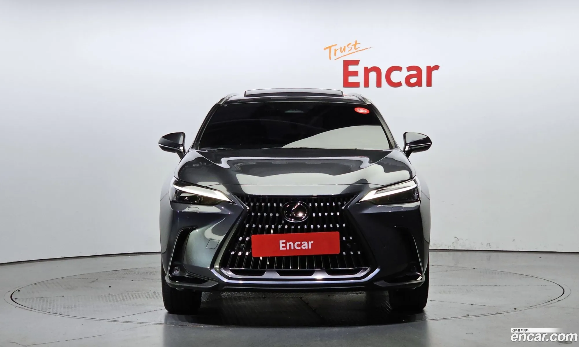 Lexus Nx Premium 2024 - фотография 3744581