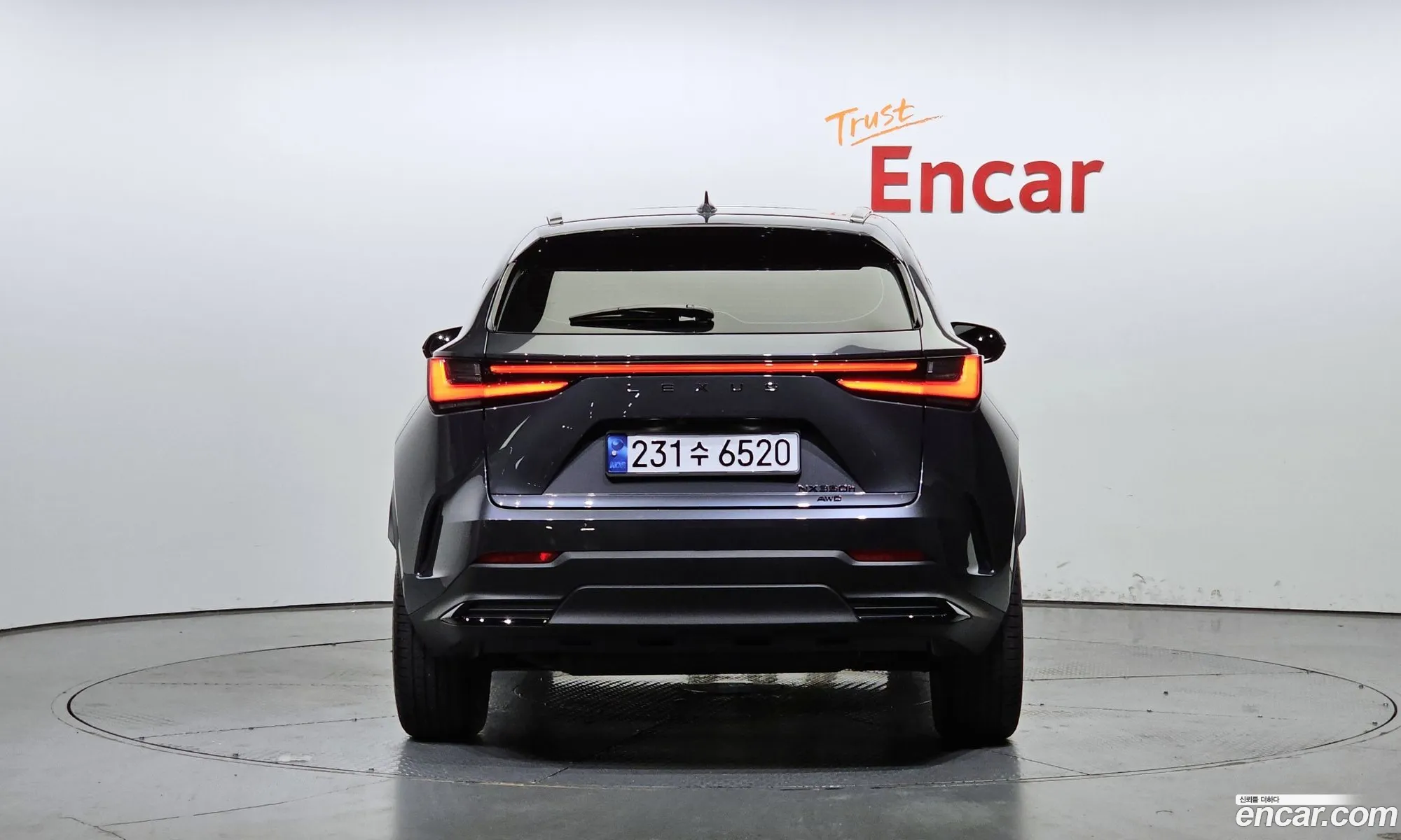 Lexus Nx Premium 2024 - фотография 3744582