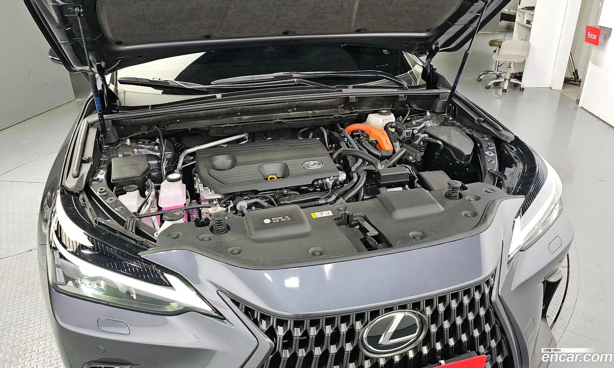 Lexus Nx Premium 2024 - фотография 3744584