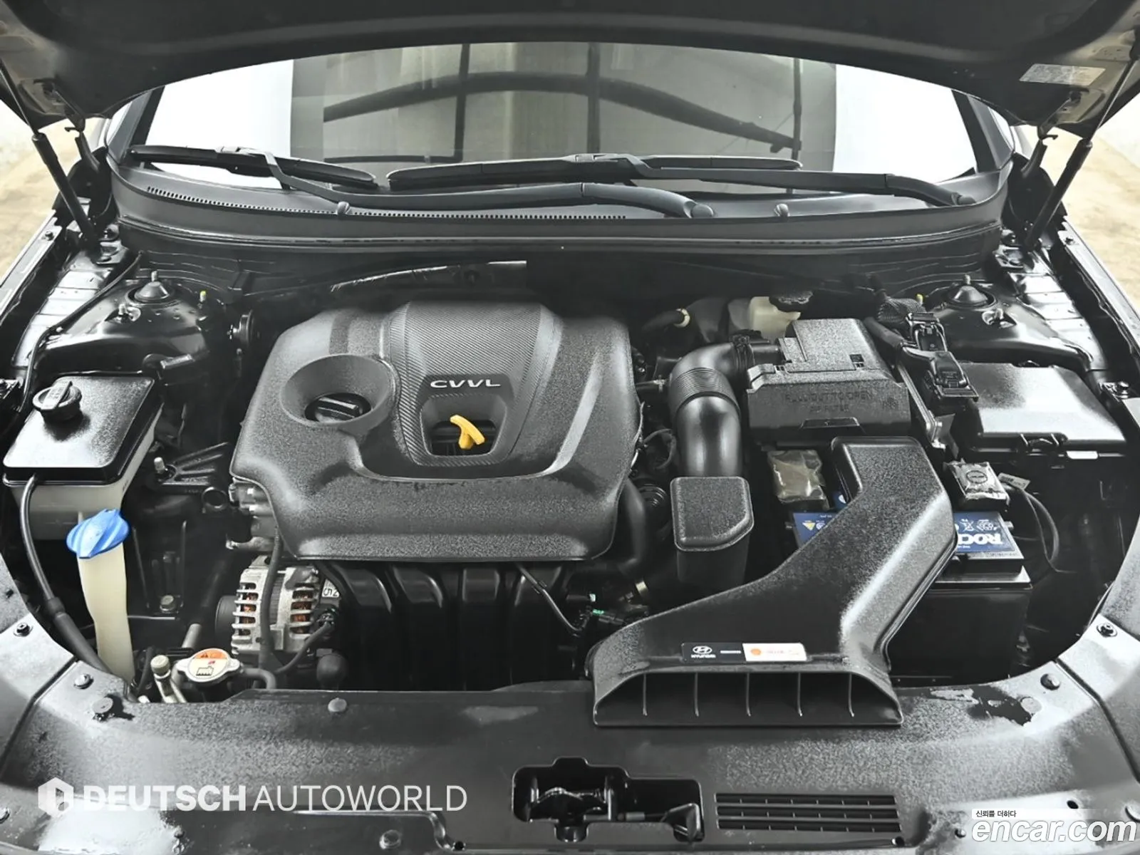 Korex Auto Trade - фотография 18423222