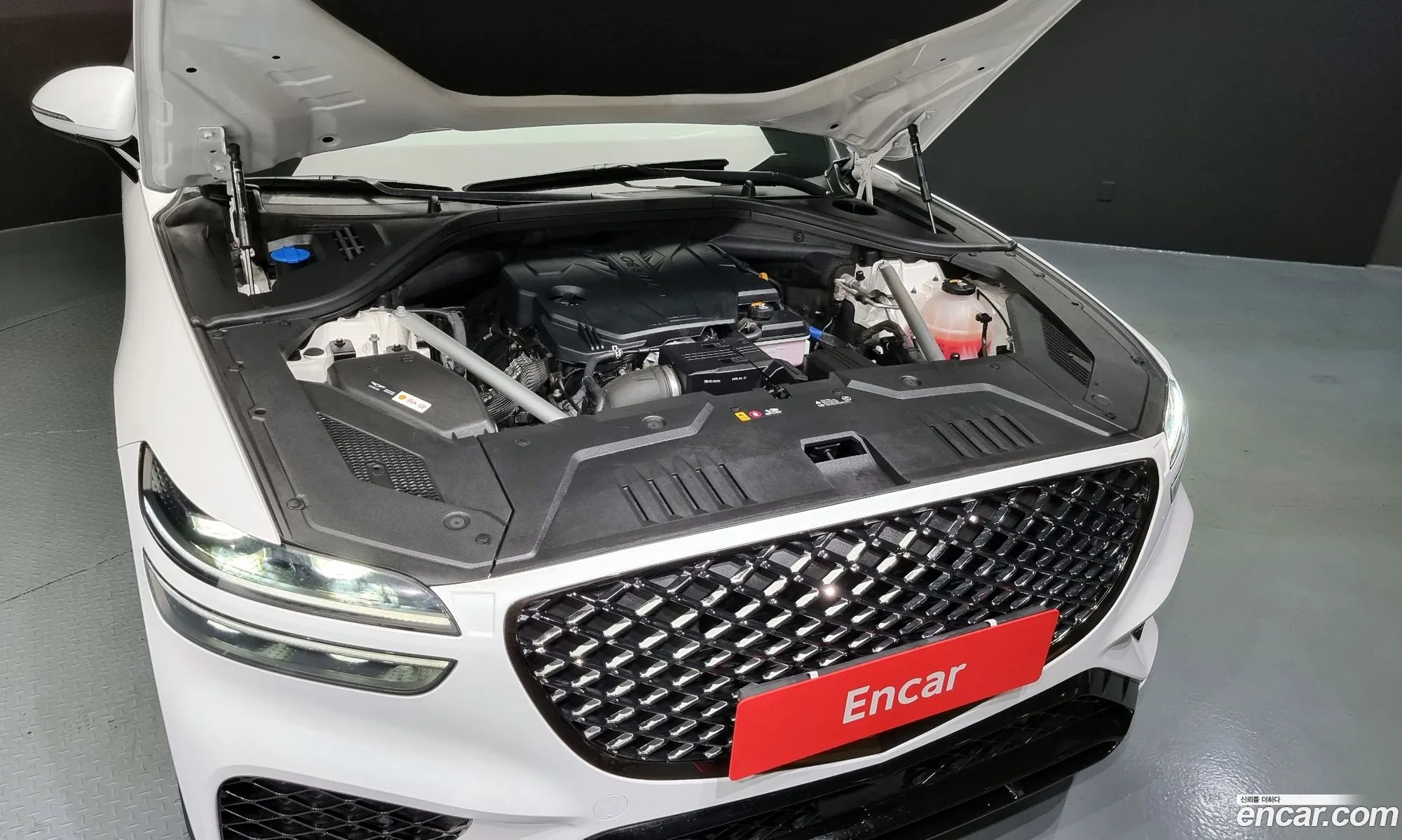 Korex Auto Trade - фотография 11829150