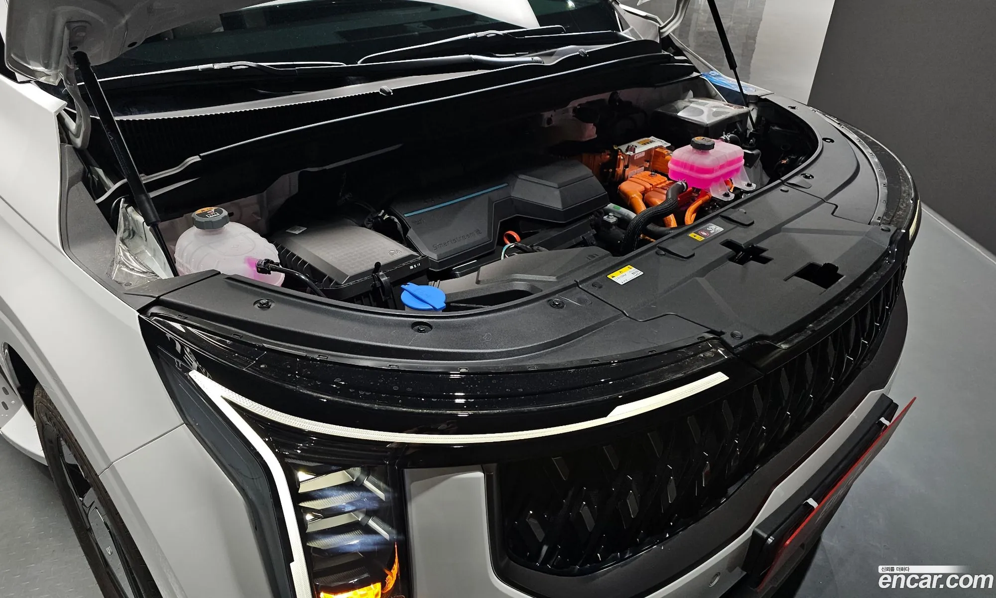Kia Carnival Hev 9-Seater Prestige 2024 - фотография 18060658