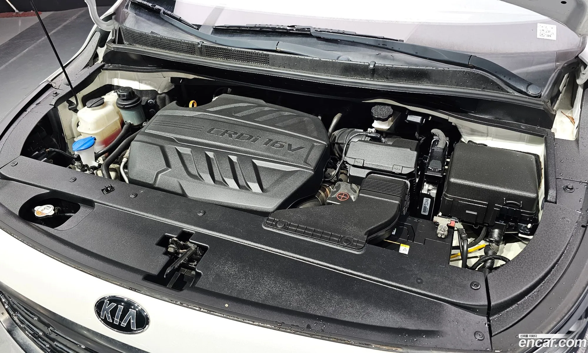 Kia The New Carnival 9-Seater Luxury - фотография 11408819