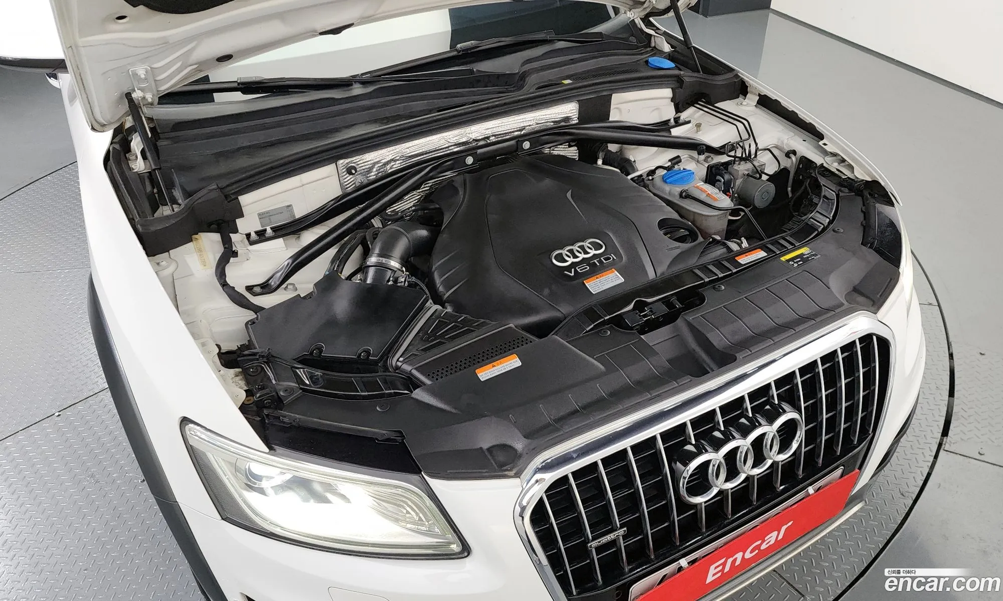 Audi Q5 I 8R 45 Tdi Quattro Off-Road Edition 2015 - фотография 4863194