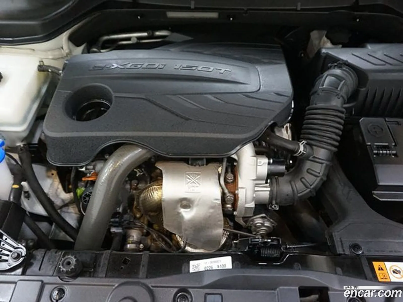 Ssangyong Tivoli Tivoli Gasoline 15 2Wd 2021 - фотография 17177089