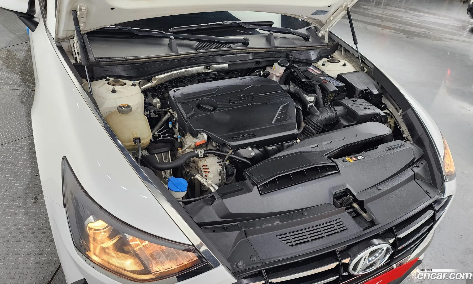 Hyundai Sonata Viii Dn8 20 Lpg For Rental Cars 2020 - фотография 18732660