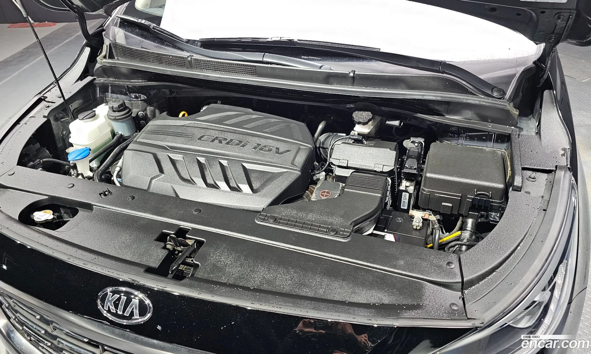 Kia Carnival Iii 9-Seater Luxury 2019 - фотография 12337237