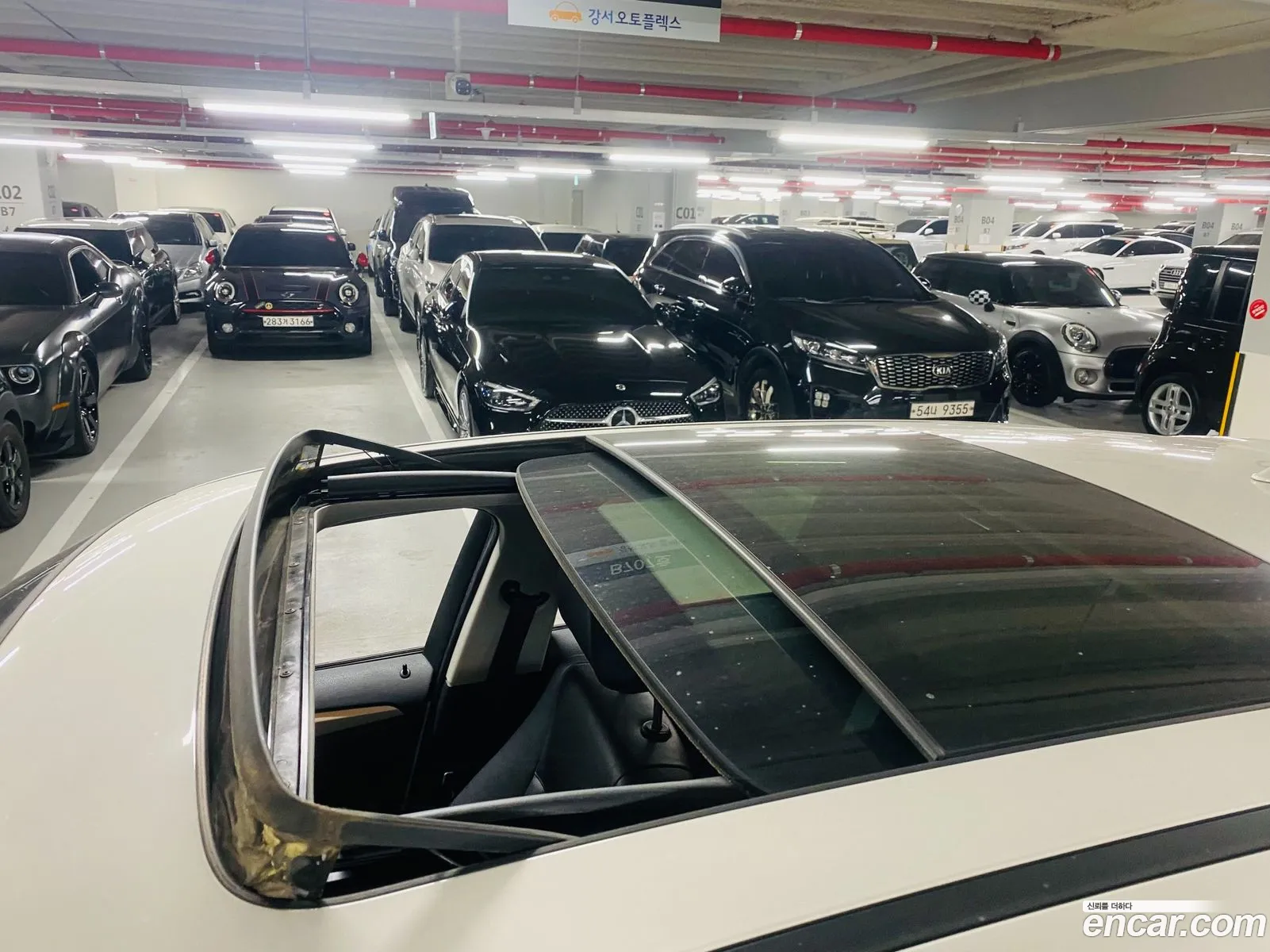 Korex Auto Trade - фотография 14390270