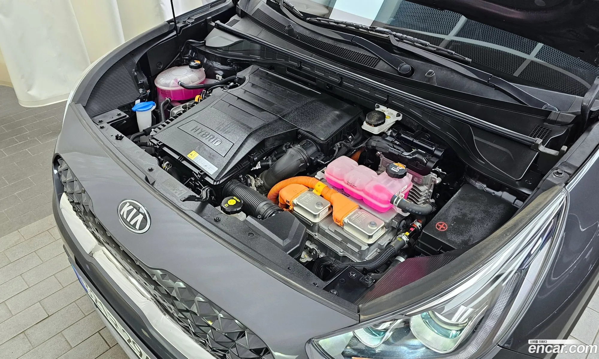 Kia Niro I 16 Hev 2021 - фотография 12625303
