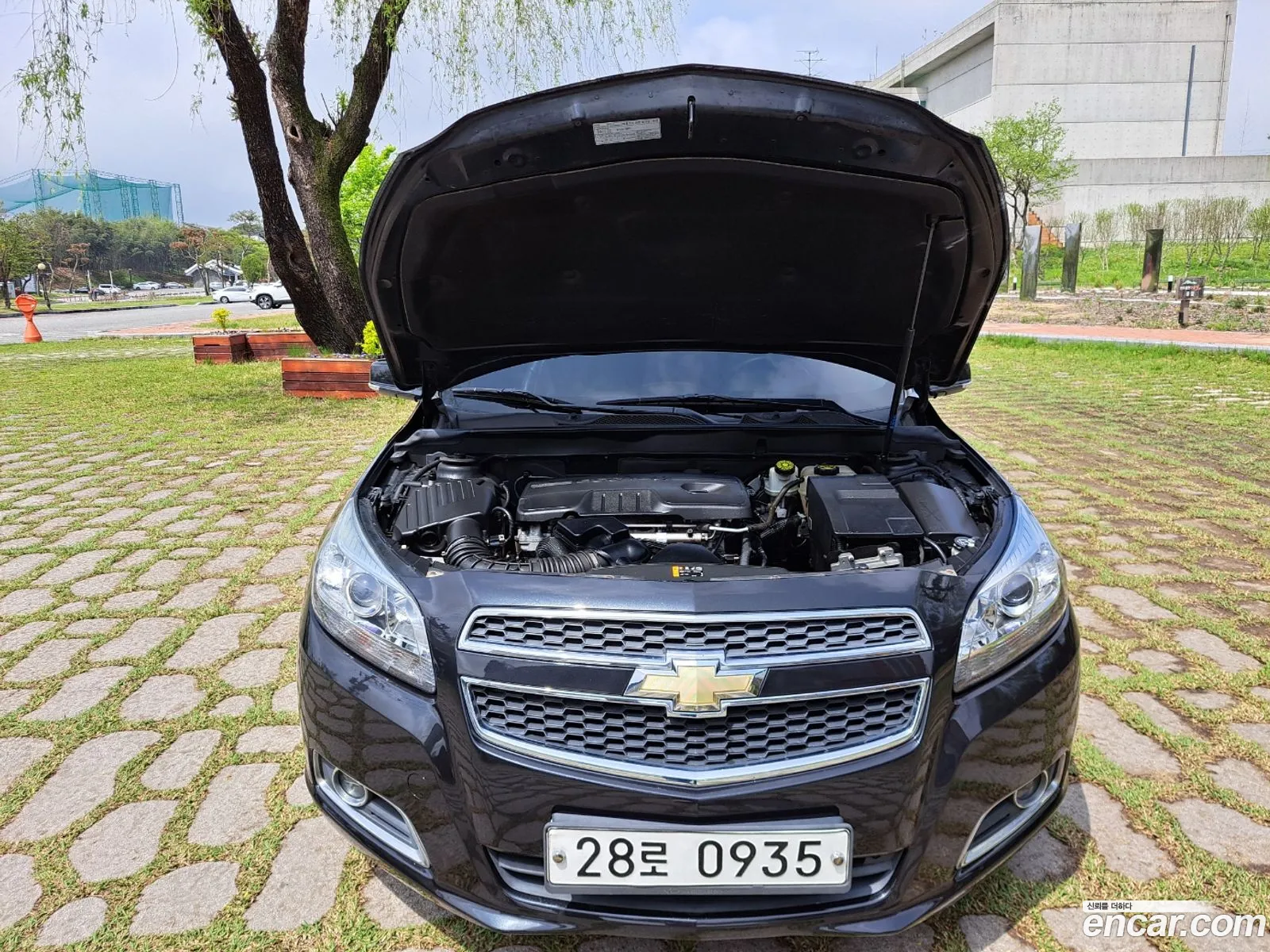 Korex Auto Trade - фотография 7190180