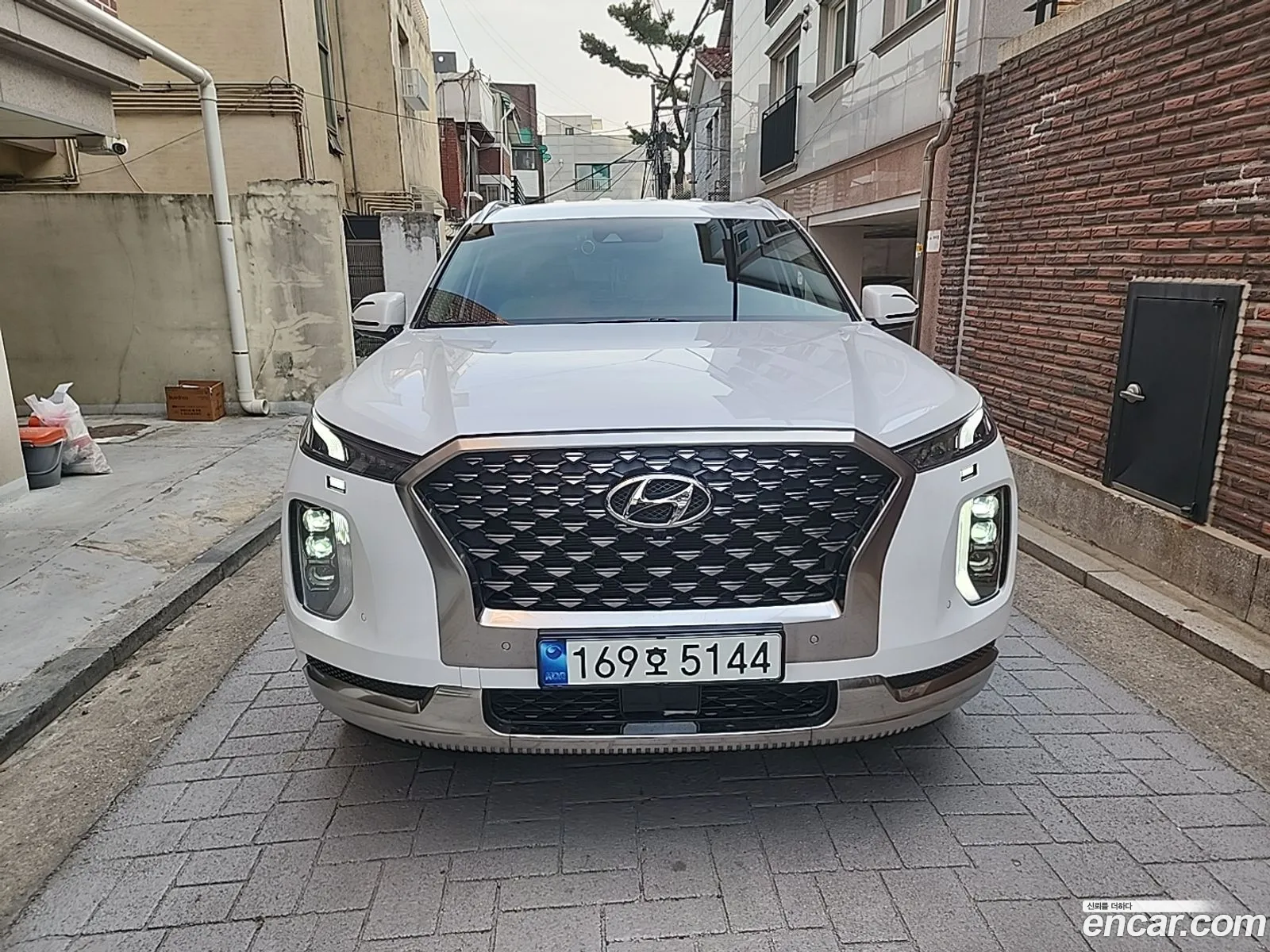 Hyundai Palisade I Gasoline 38 4Wd 2022 - фотография 18874921