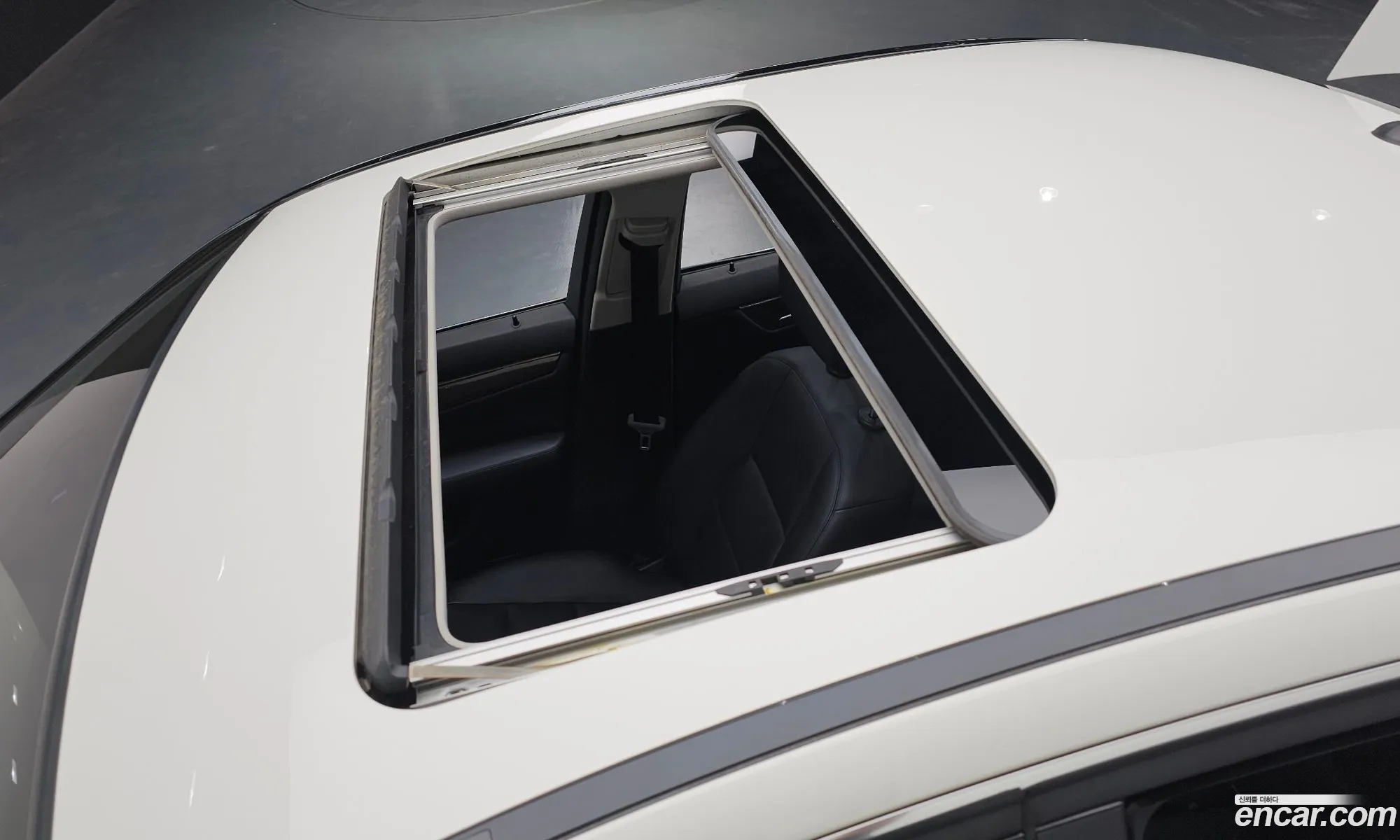 Korex Auto Trade - фотография 12486505