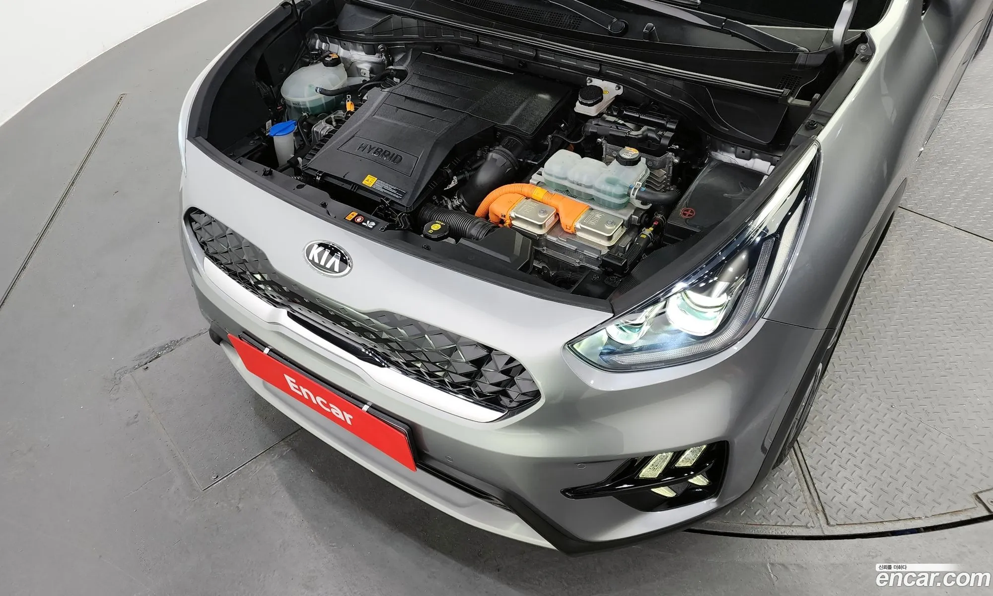 Kia Niro I 16 Hev 2020 - фотография 12522598