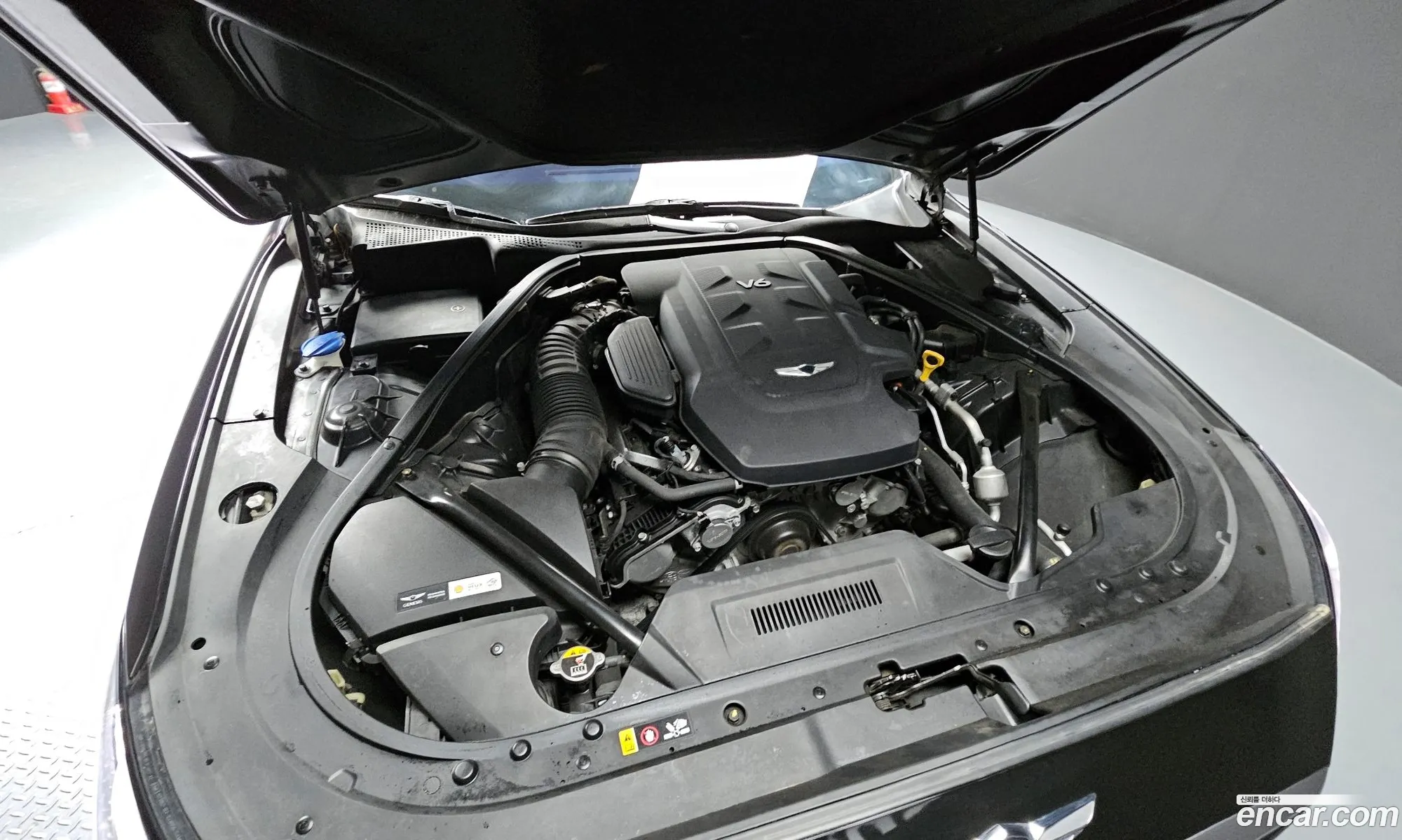 Korex Auto Trade - фотография 11854141