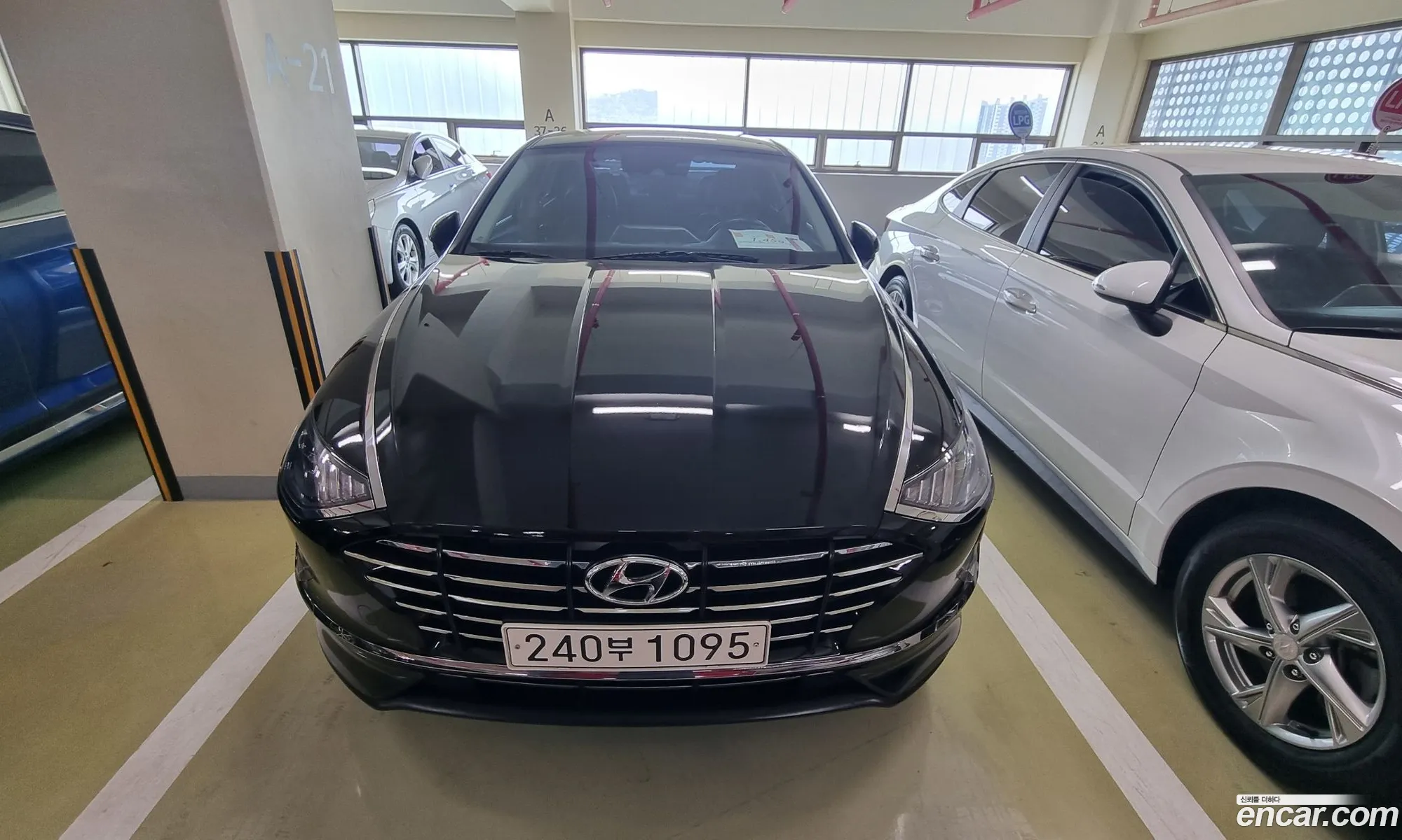 Hyundai Sonata Viii Dn8 20 Lpg For Rental Cars 2021 - фотография 17279149