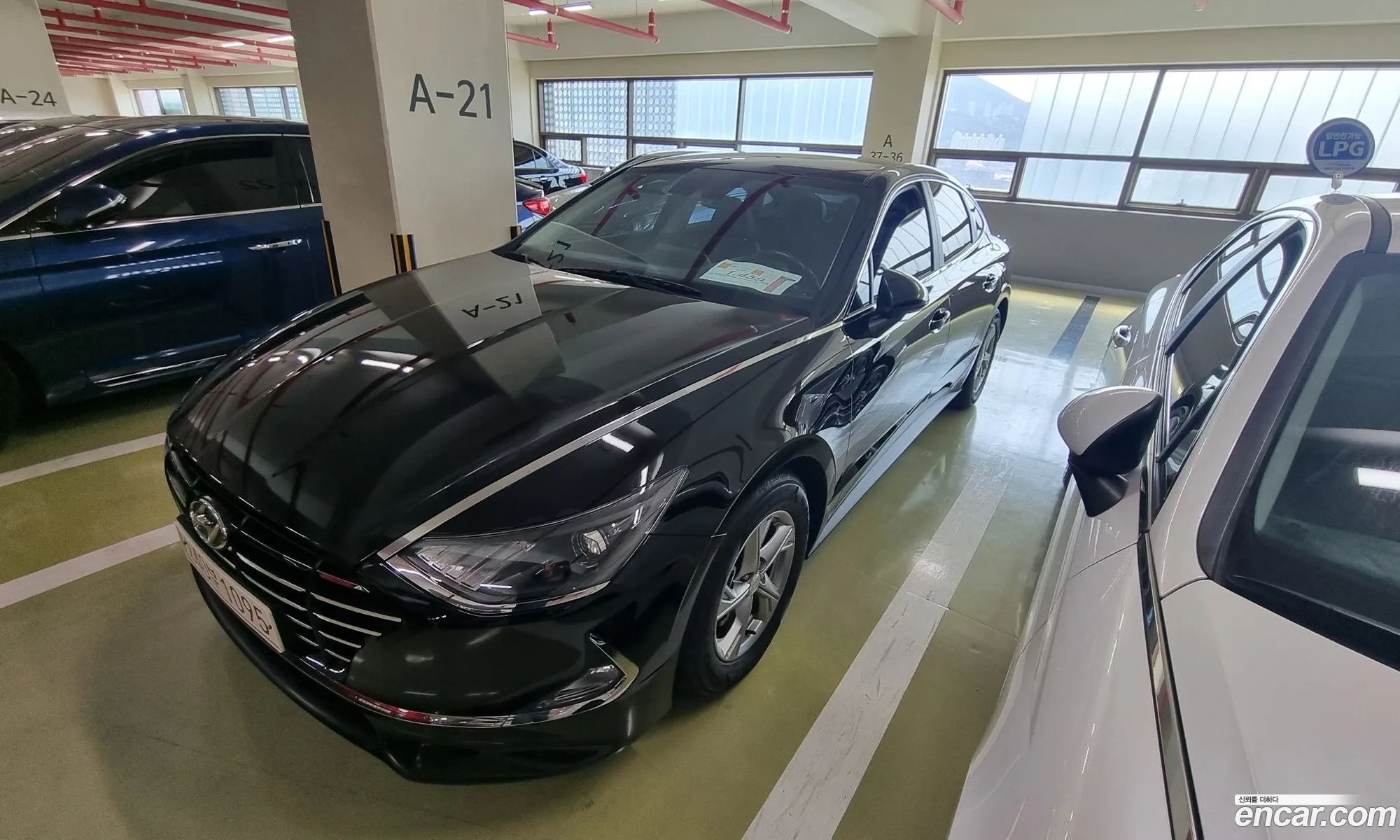 Hyundai Sonata Viii Dn8 20 Lpg For Rental Cars 2021 - фотография 17279150