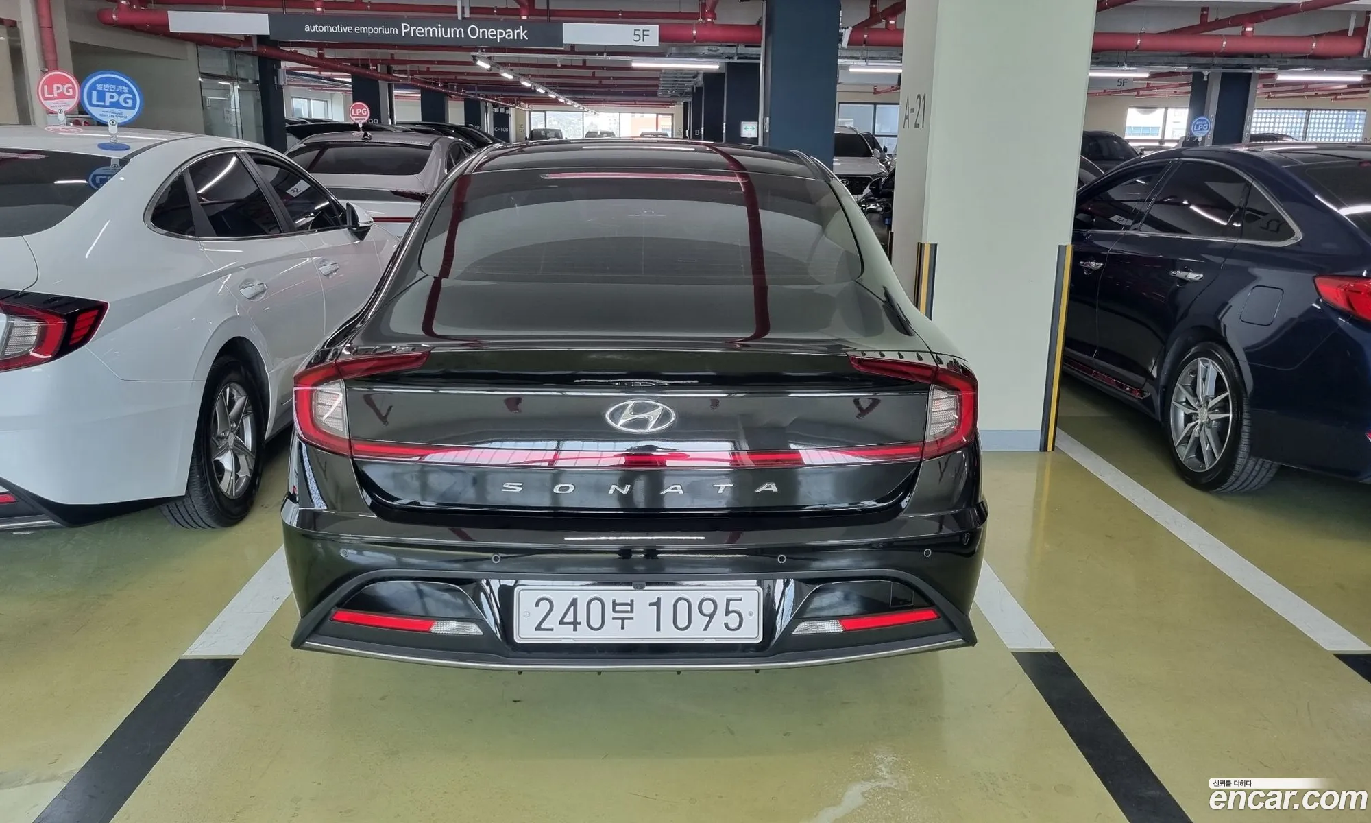 Hyundai Sonata Viii Dn8 20 Lpg For Rental Cars 2021 - фотография 17279152