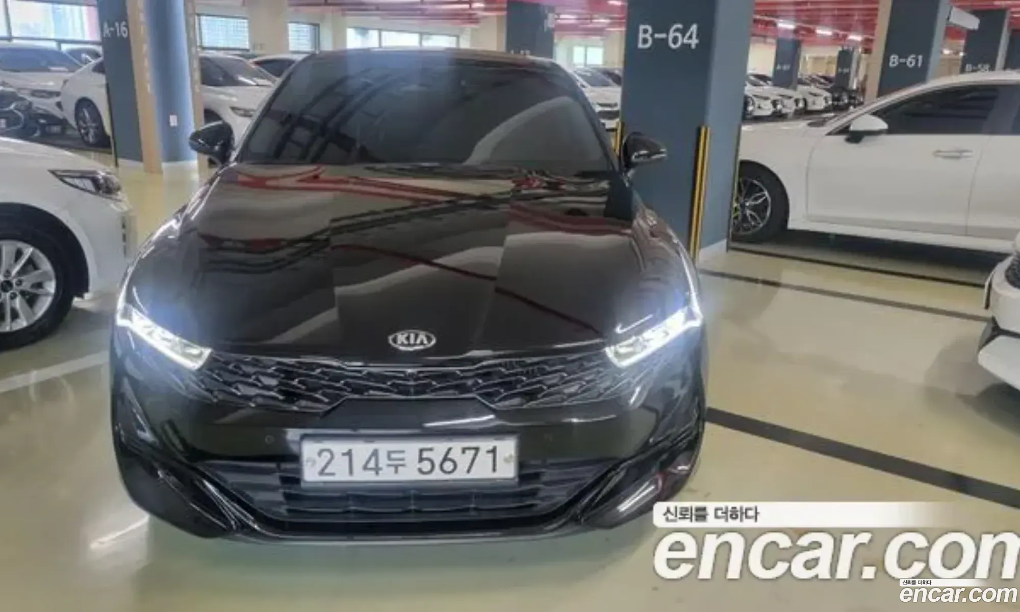 Kia K5 Ii 16 Turbo 2020 - фотография 19298862