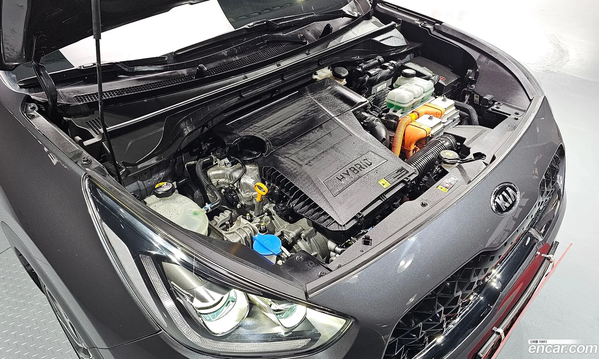 Kia Niro I 16 Hev 2020 - фотография 13121377