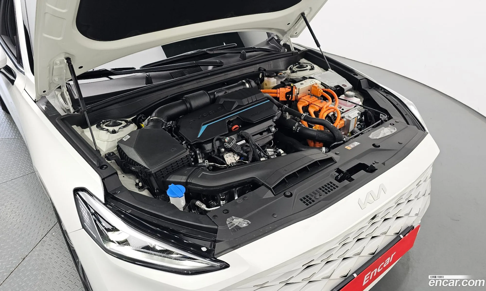 Kia K8 Signature 2023 - фотография 12477674