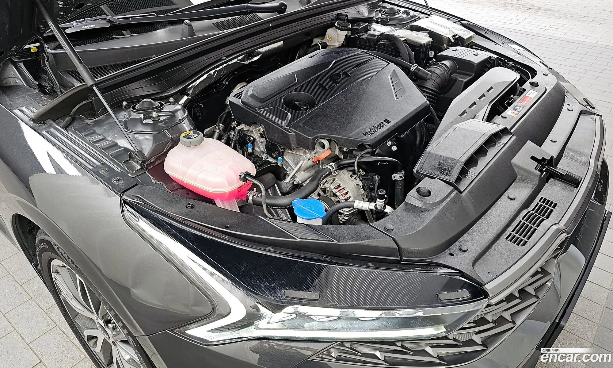 Kia K5 Ii 20Lpi 2020 - фотография 18769350