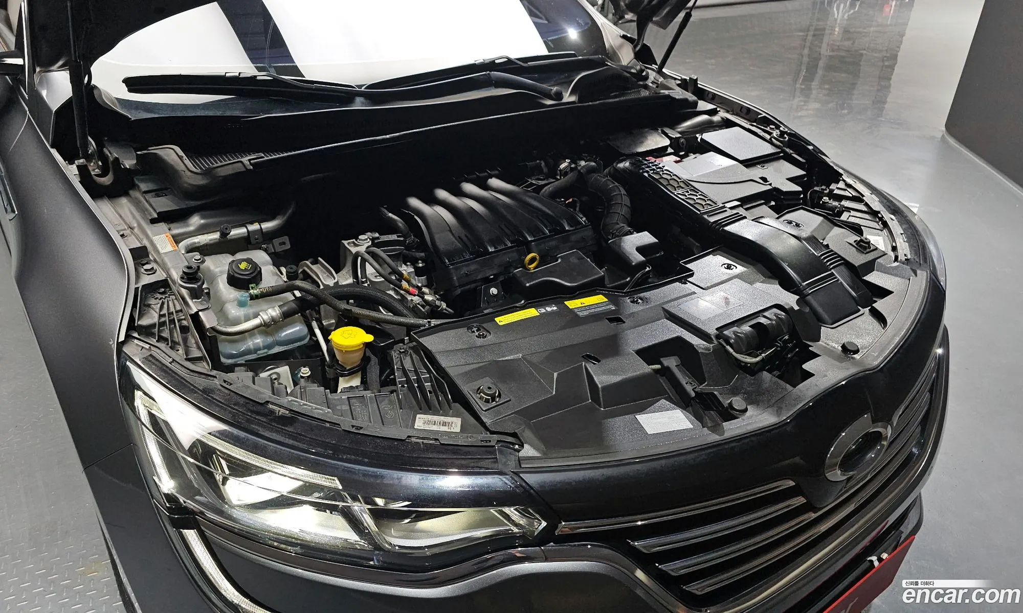 Renault Samsung Sm6 20 Lpe Re For The Disabled 2016 - фотография 3144656