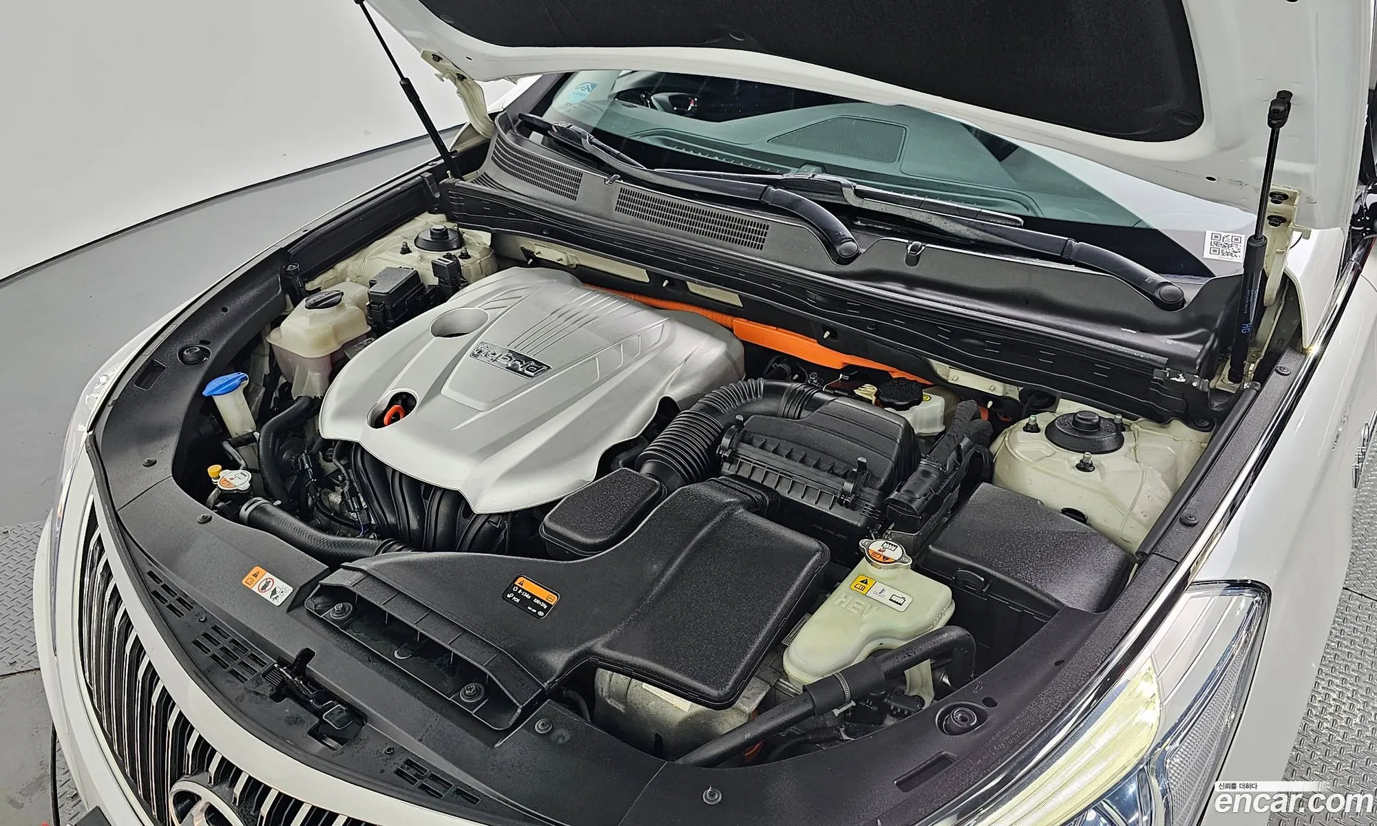 Korex Auto Trade - фотография 11367442