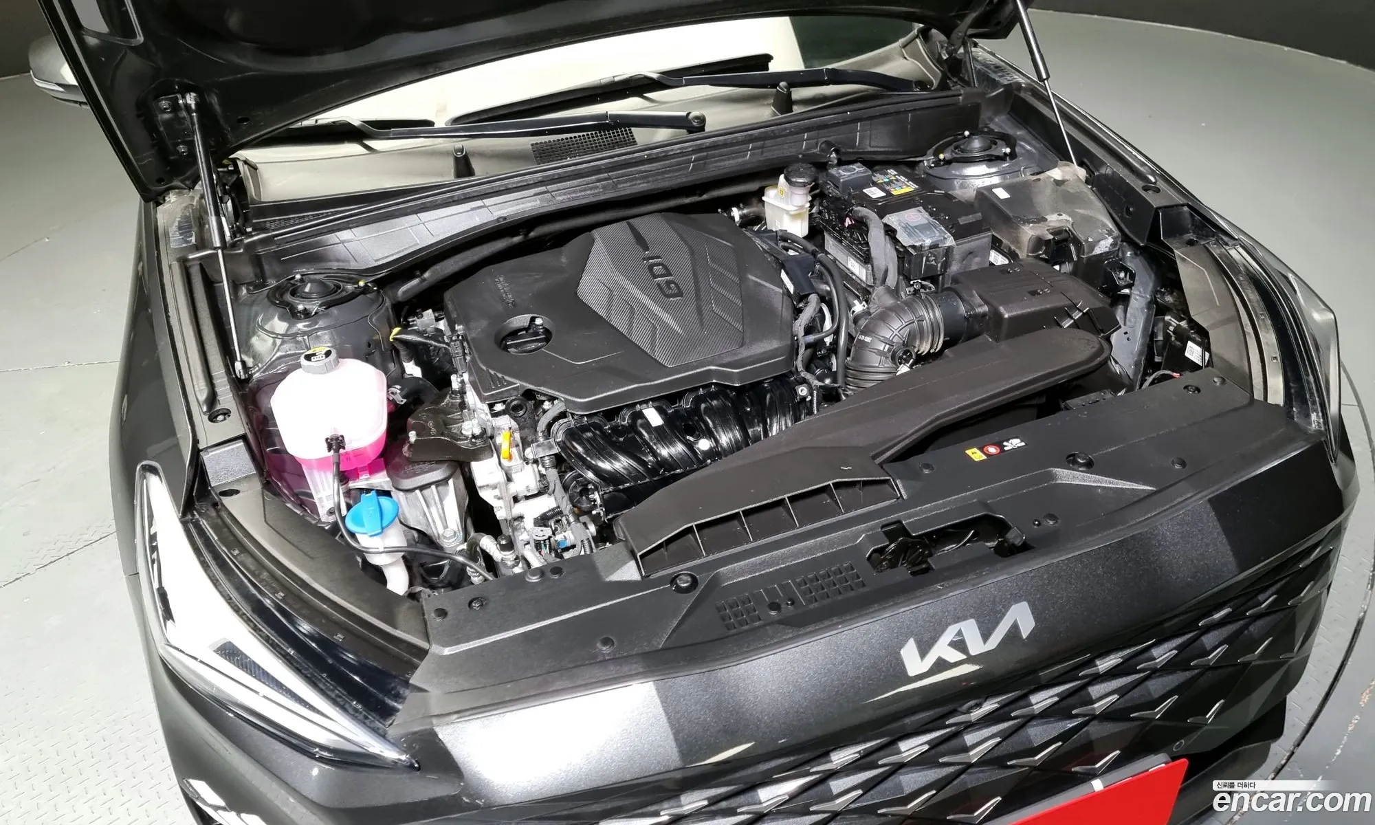 Kia K8 25 Gasoline 2Wd 2023 - фотография 11539967