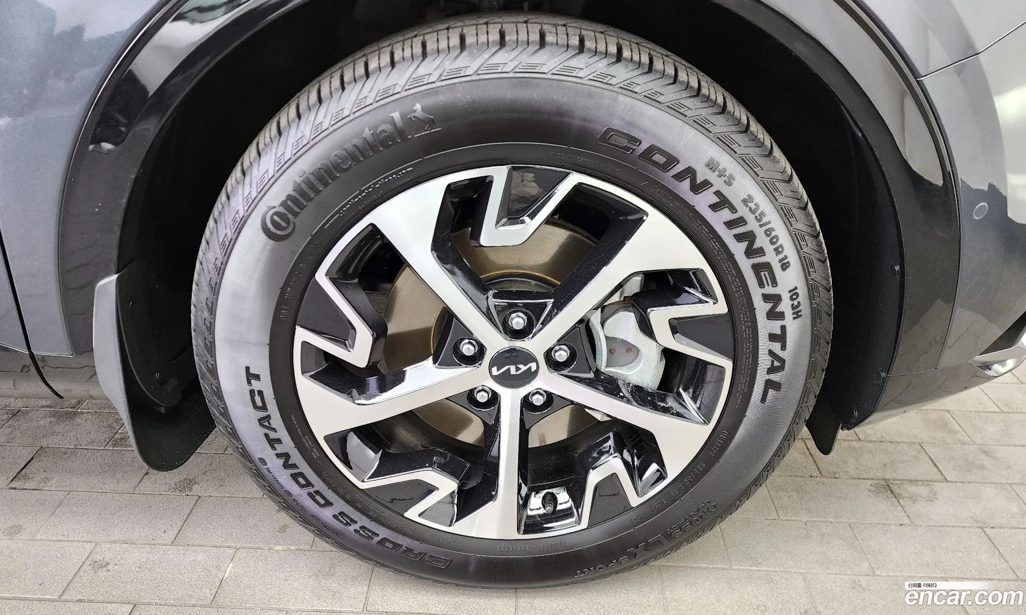 Kia Sportage Signature 2Wd 2023 - фотография 11287490