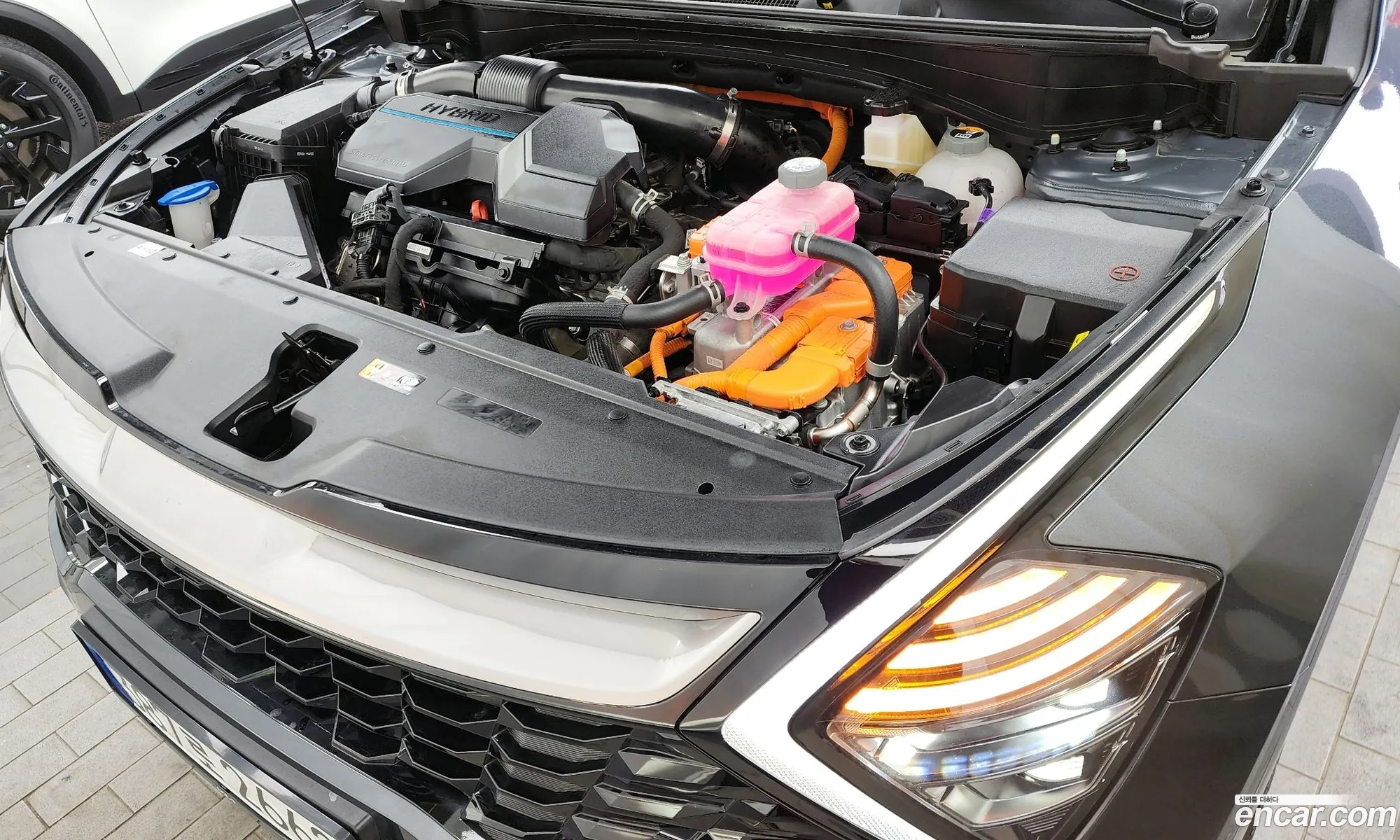 Kia Sportage Signature 2Wd 2023 - фотография 11287491