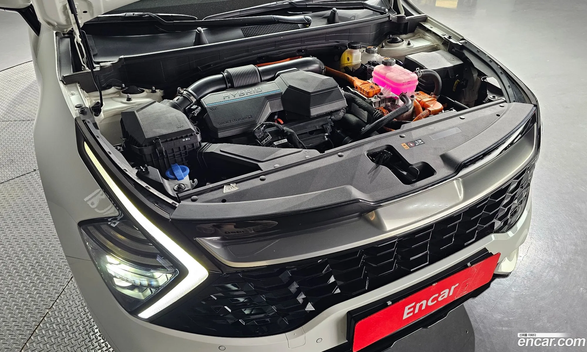 Kia Sportage Signature 2Wd 2023 - фотография 17186478