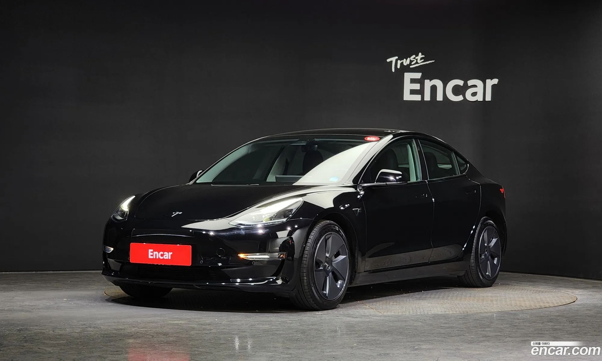Tesla Model 3 I Long Range 2021 - фотография 3723046
