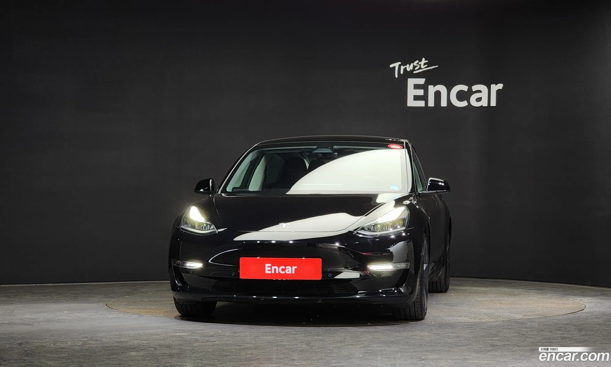 Tesla Model 3 I Long Range 2021 - фотография 3723048