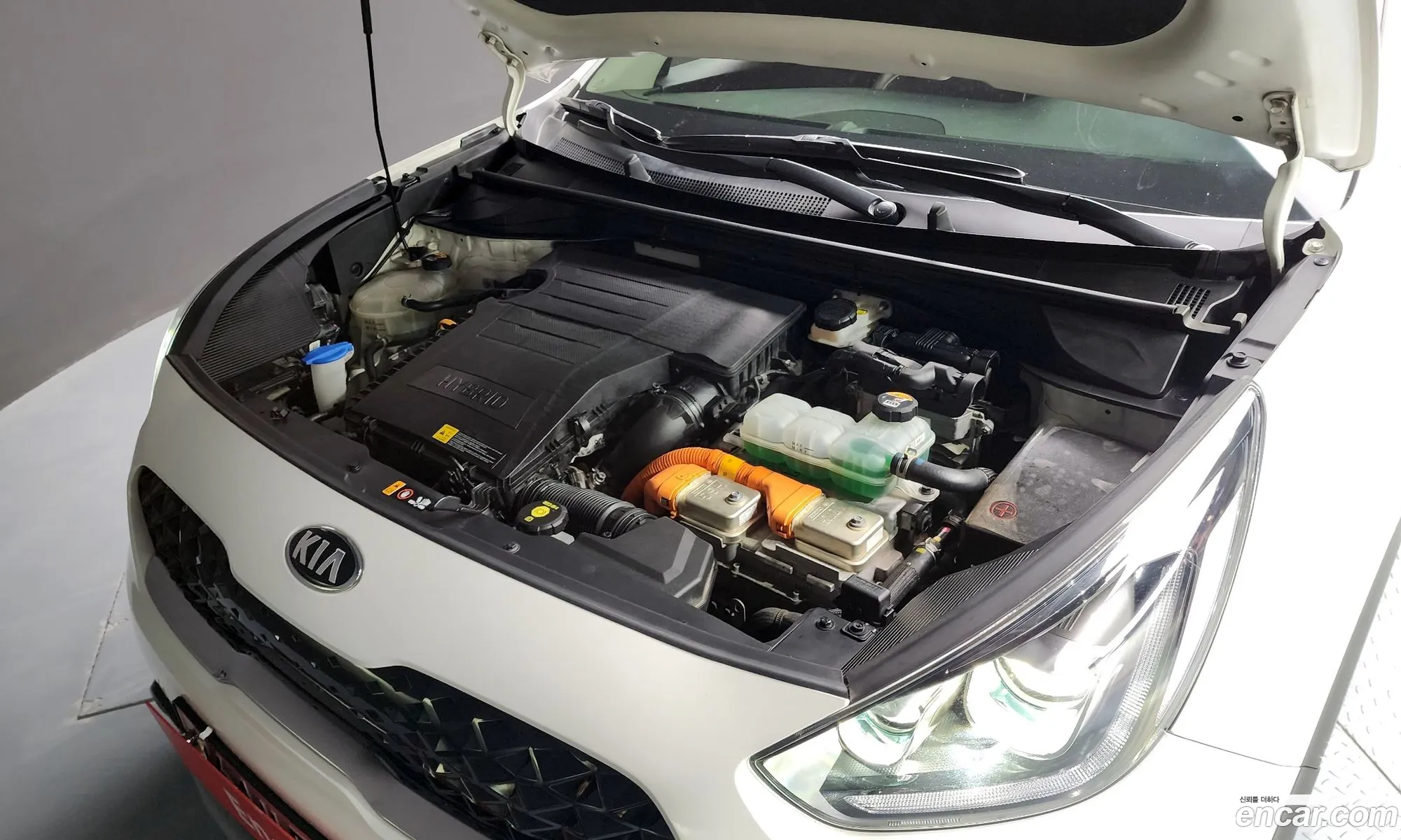 Kia Niro I 16 Hev 2020 - фотография 12550906