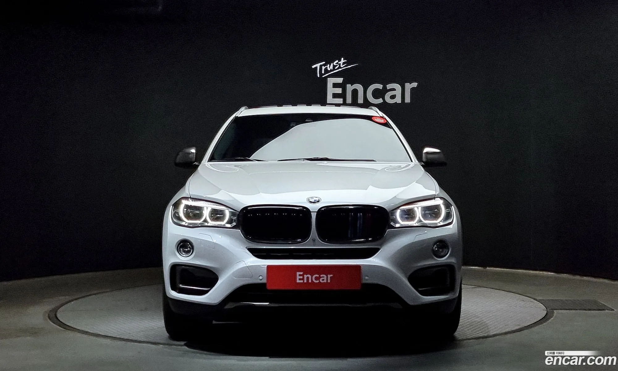 BMW X6 Ii F16 xDrive 40D 2016 - фотография 966145