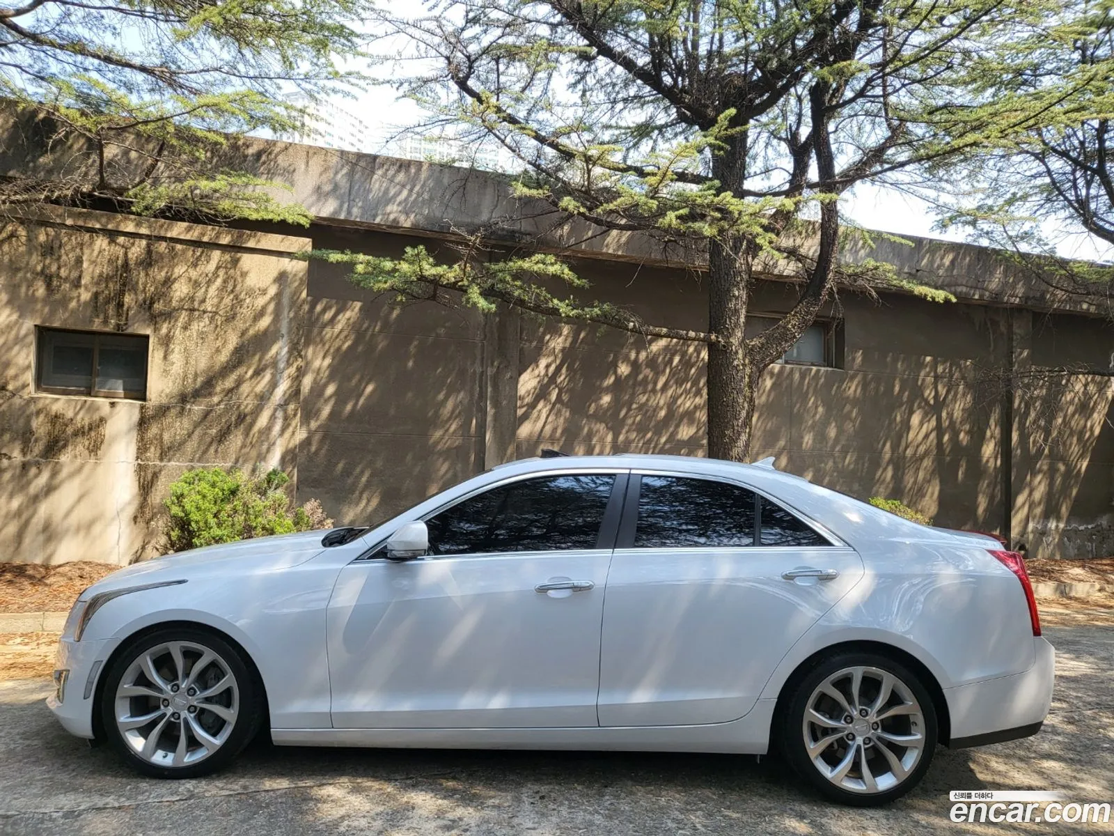 Korex Auto Trade - фотография 14699696