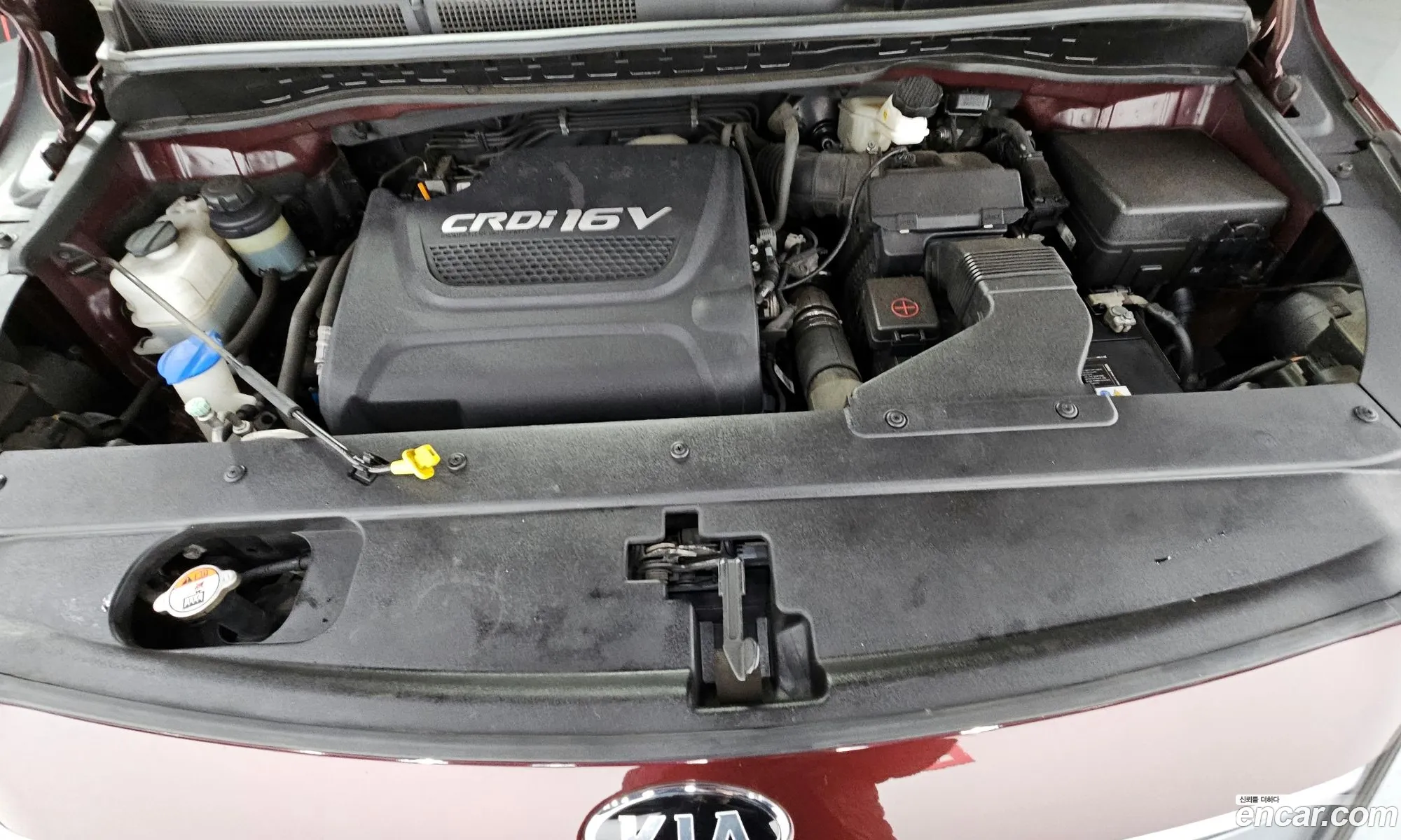 Korex Auto Trade - фотография 12282352