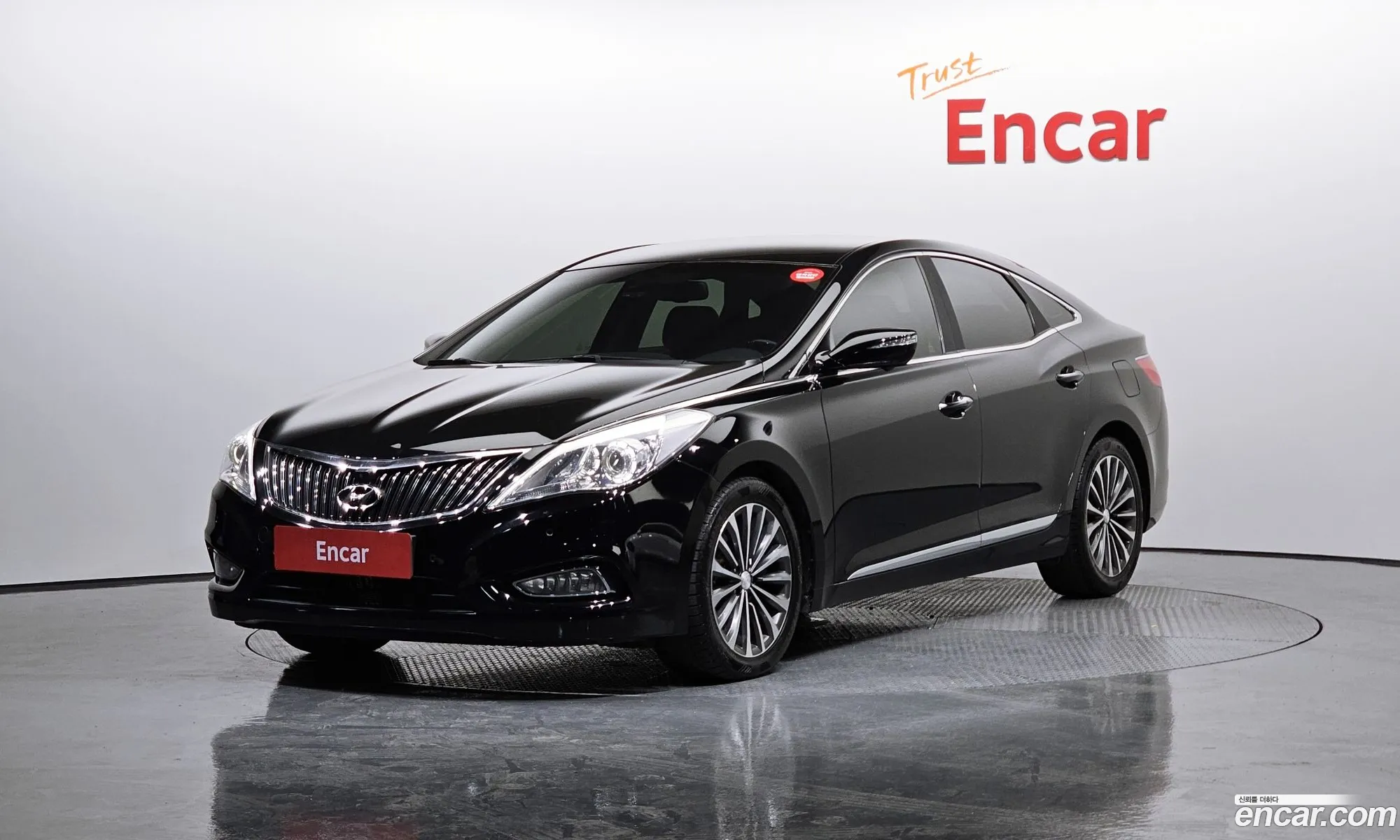 Hyundai Grandeur Lpg Hg300 For Disabled People 2011 - фотография 11887181
