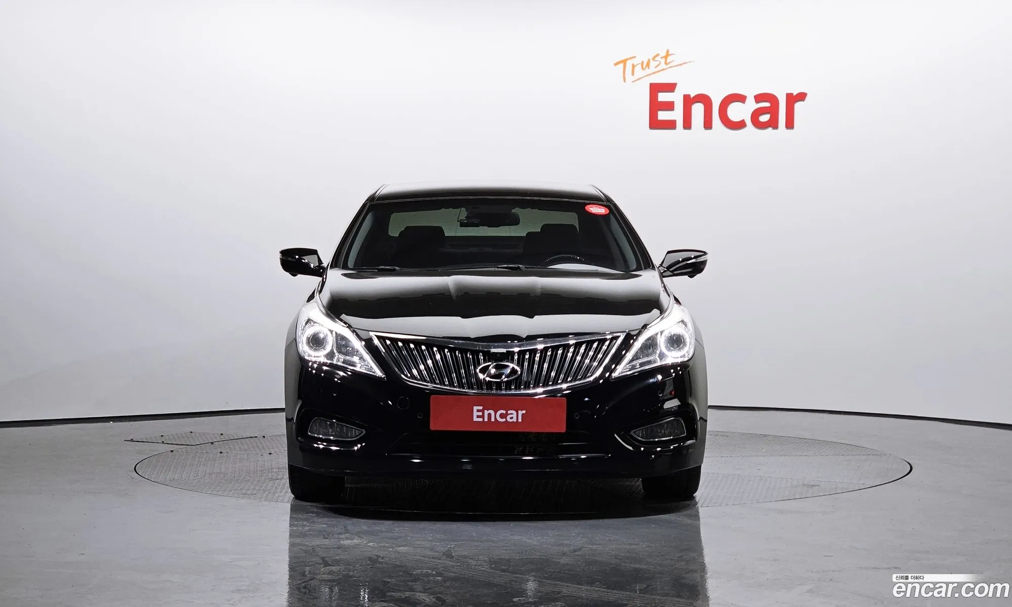 Hyundai Grandeur Lpg Hg300 For Disabled People 2011 - фотография 11887183