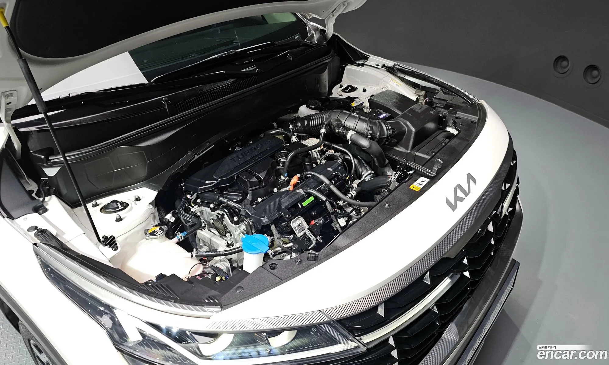 Kia Seltos Gasoline 16 Turbo 2Wd 2023 - фотография 19849315
