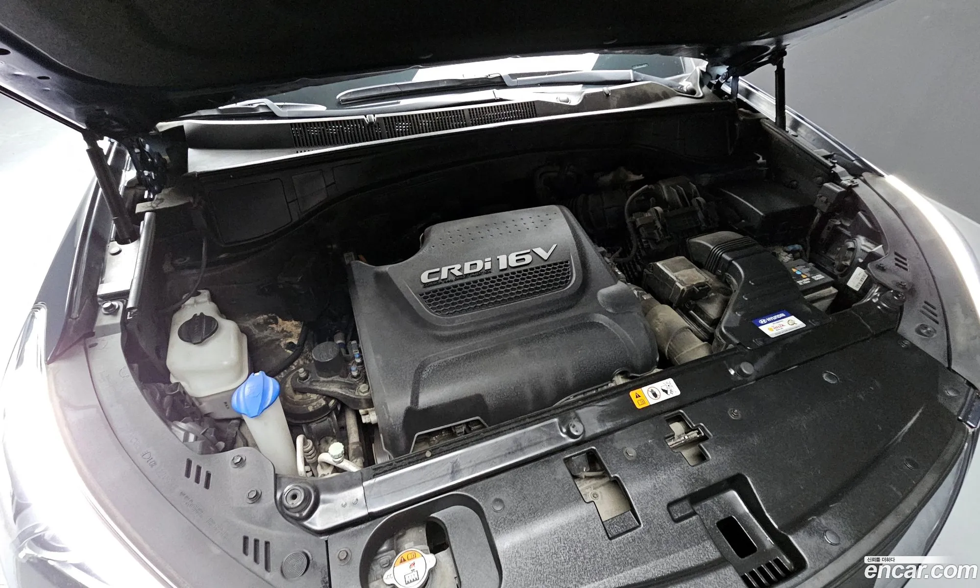Korex Auto Trade - фотография 11430314