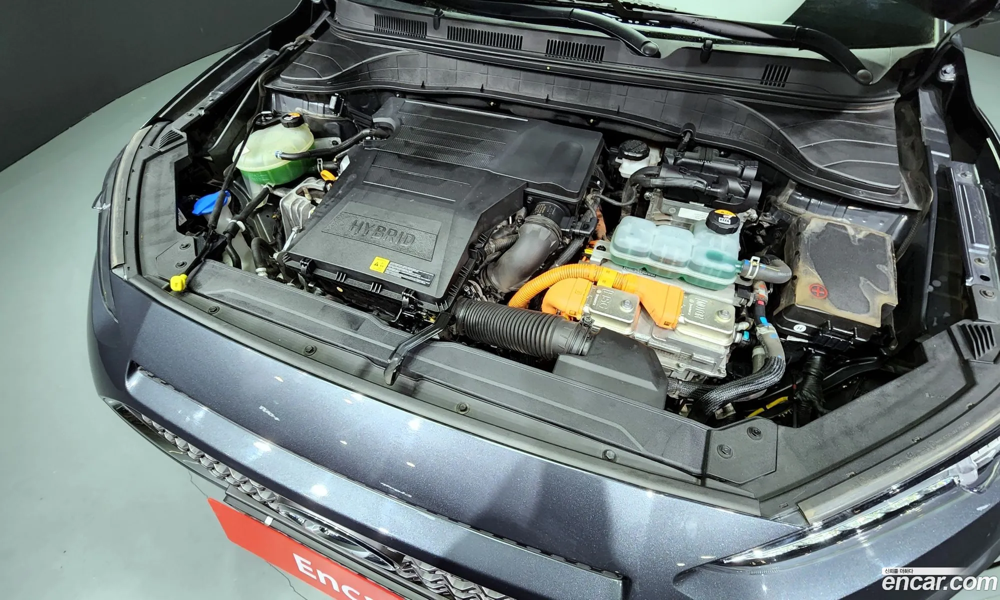 Hyundai Kona I Premium Special 2020 - фотография 19634319