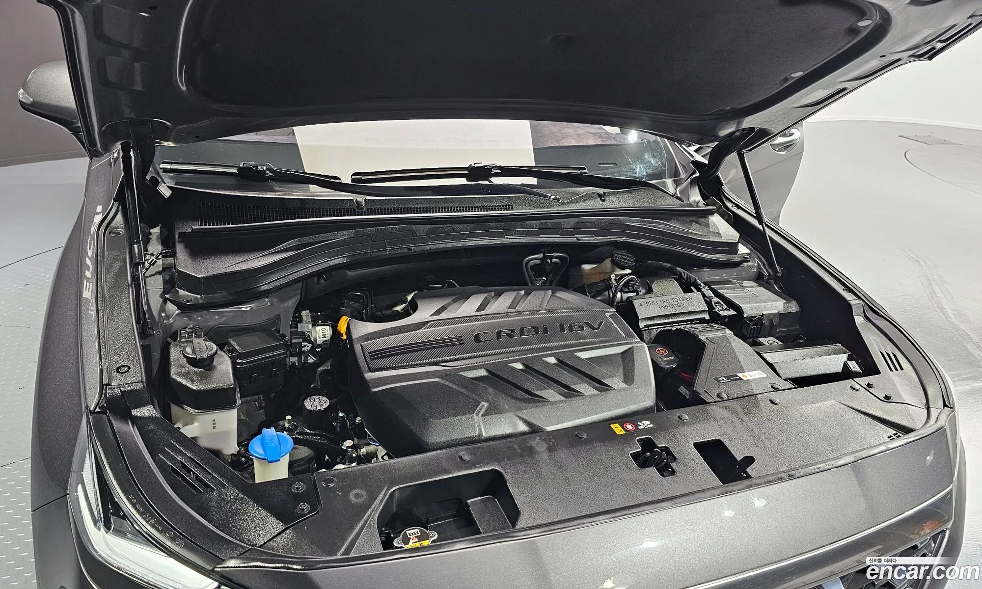 Hyundai Santa Fe Diesel 20 4Wd 2019 - фотография 18713180