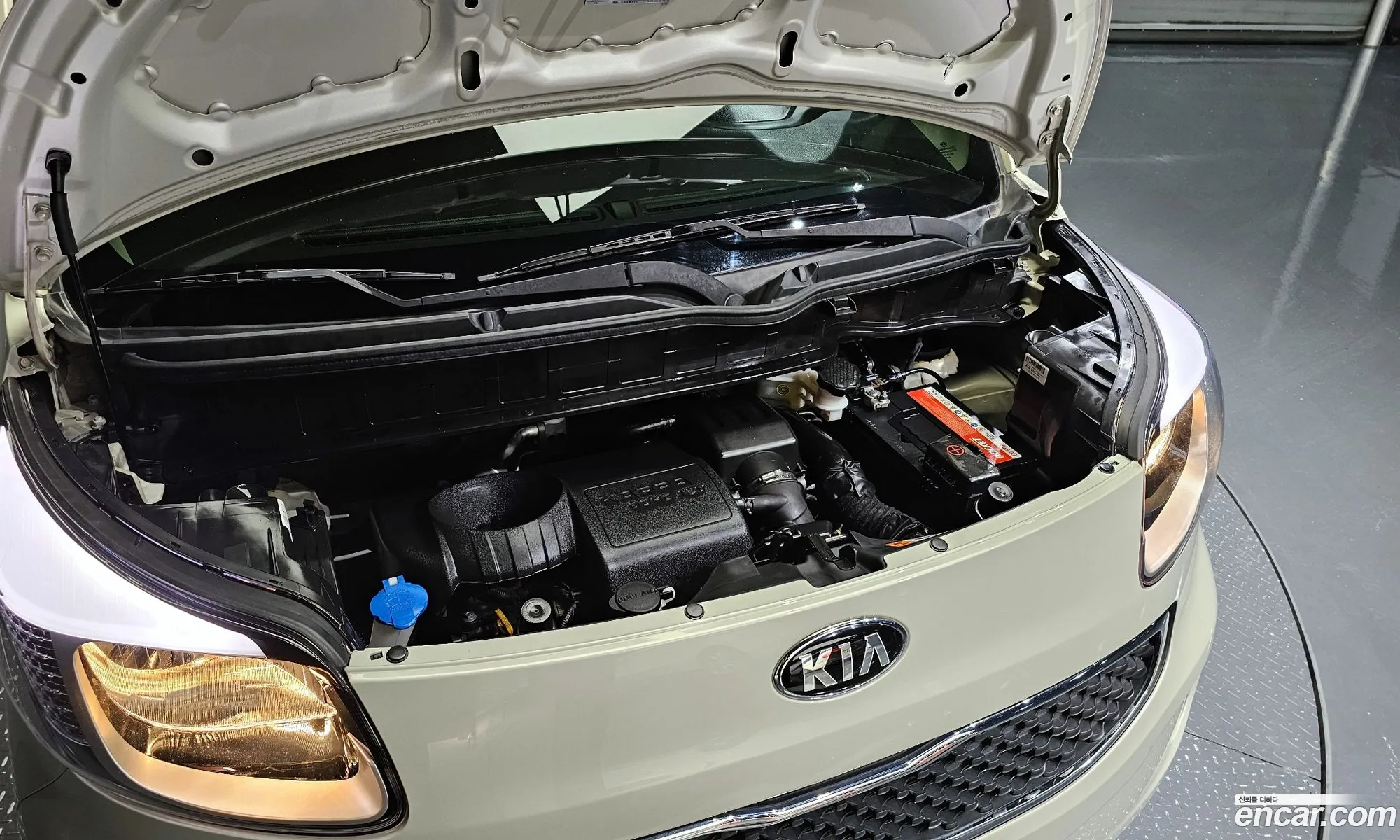 Korex Auto Trade - фотография 11501410