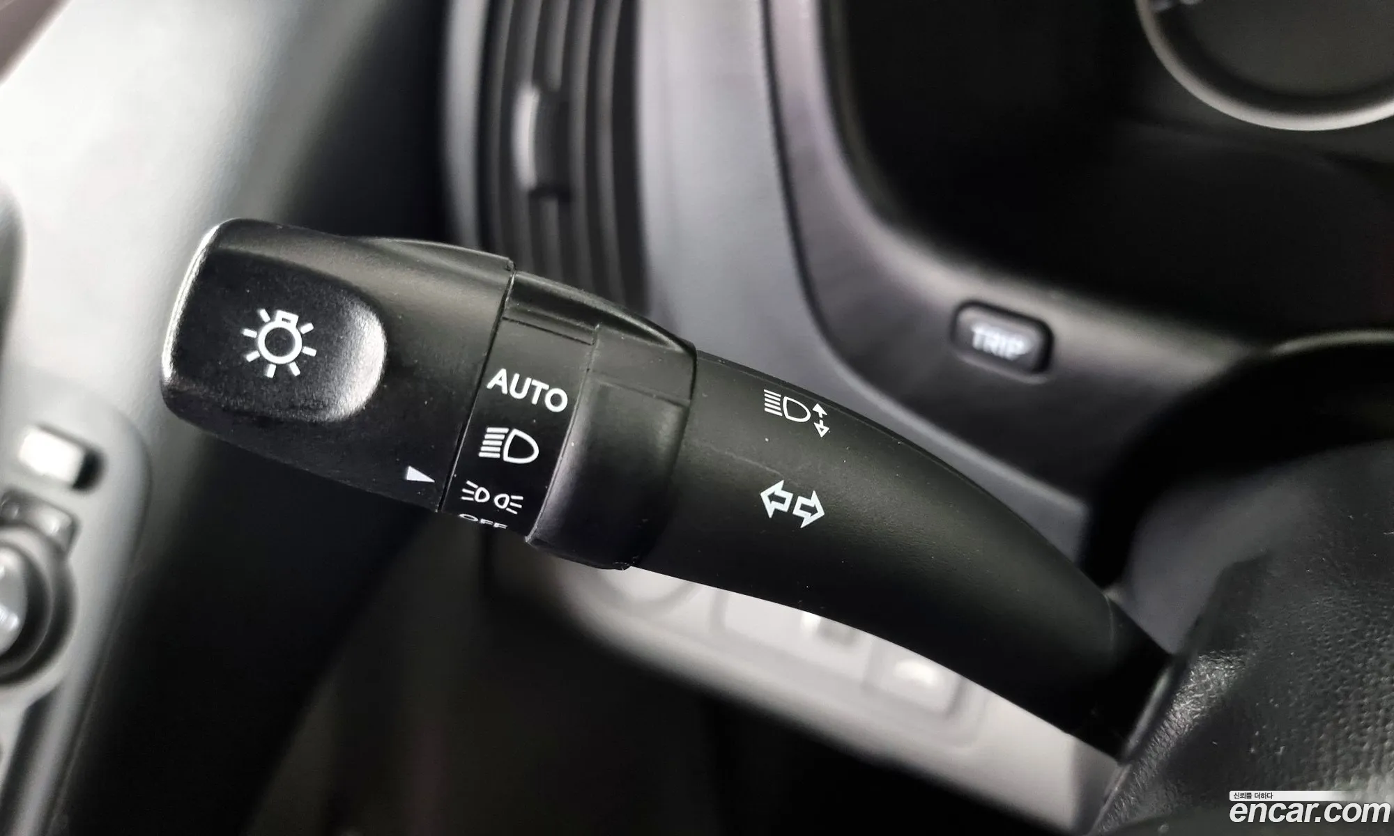 Korex Auto Trade - фотография 11769095